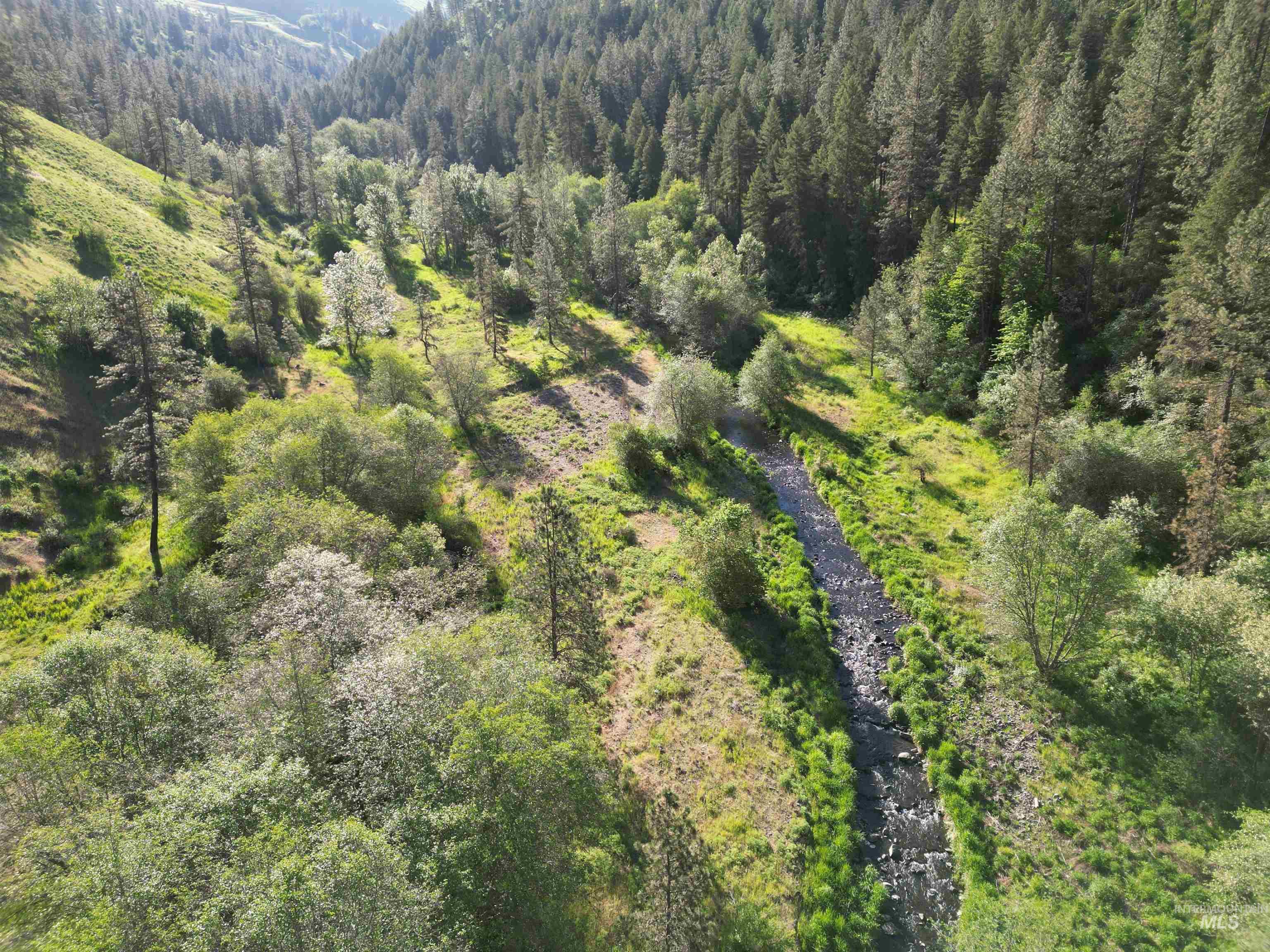 Tbd Twisted Tree Lane Property Photo 19