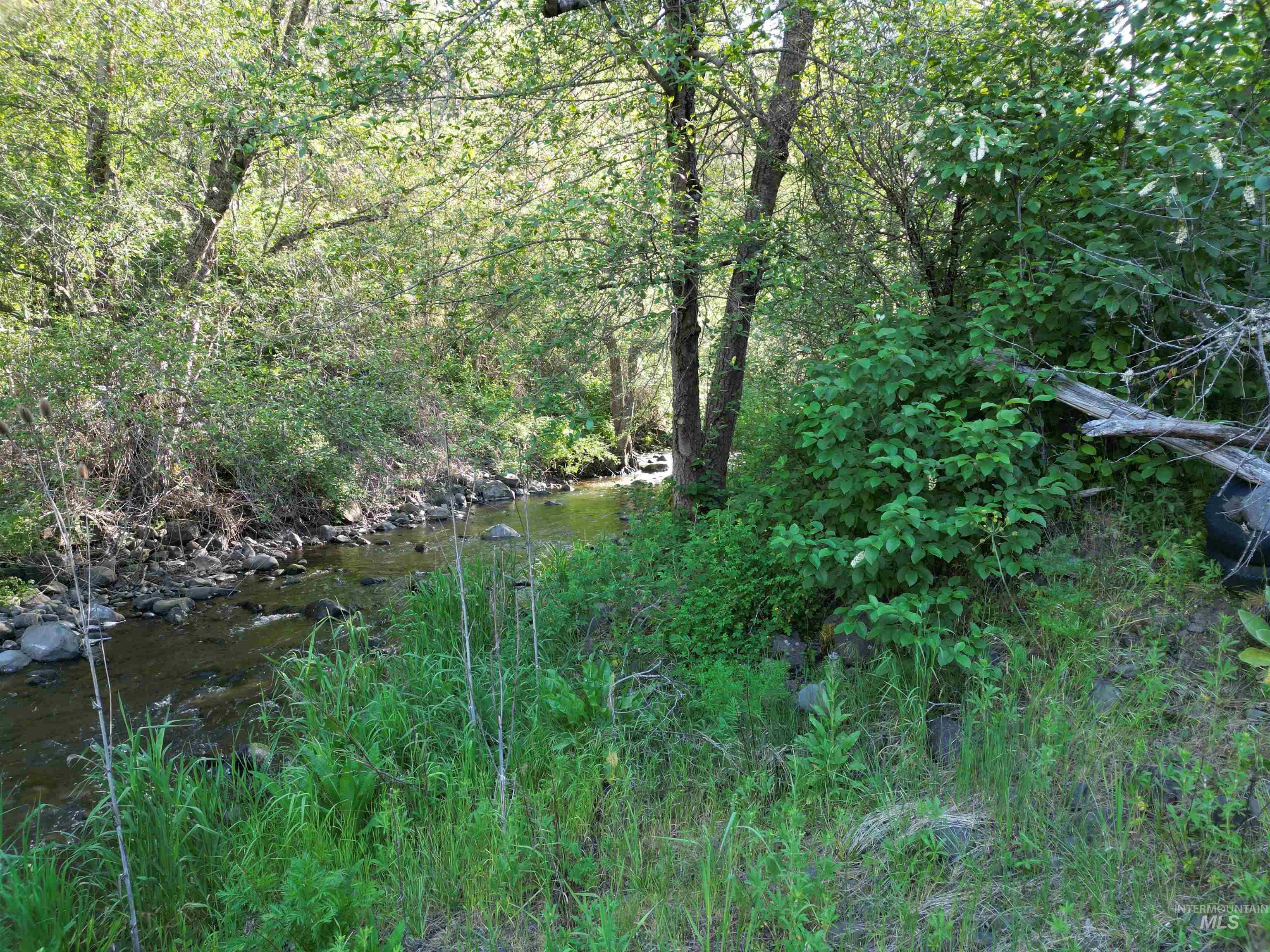 Tbd Twisted Tree Lane Property Photo 22