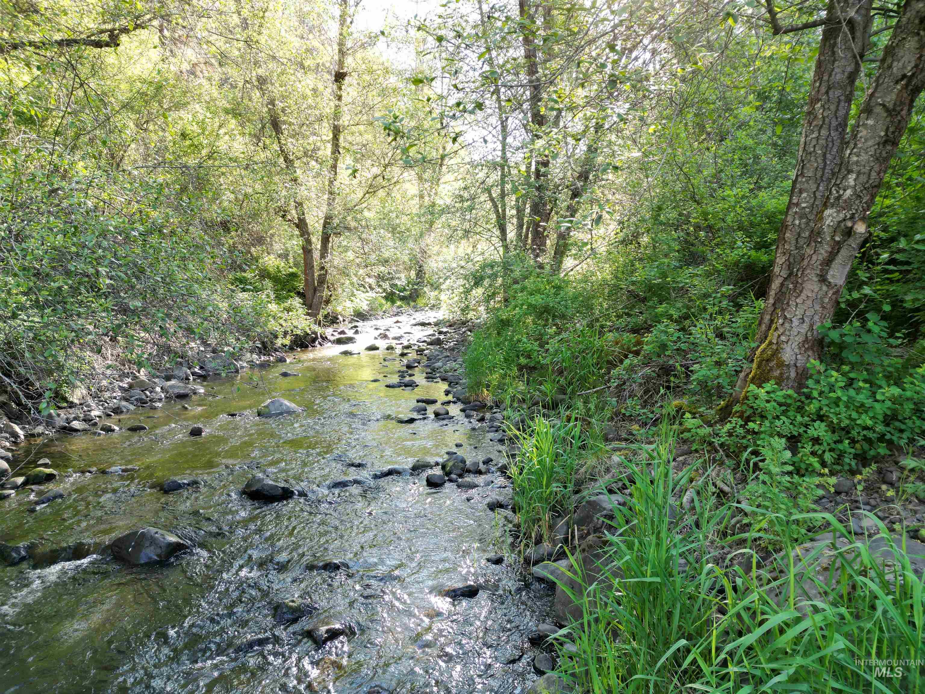 Tbd Twisted Tree Lane Property Photo 23