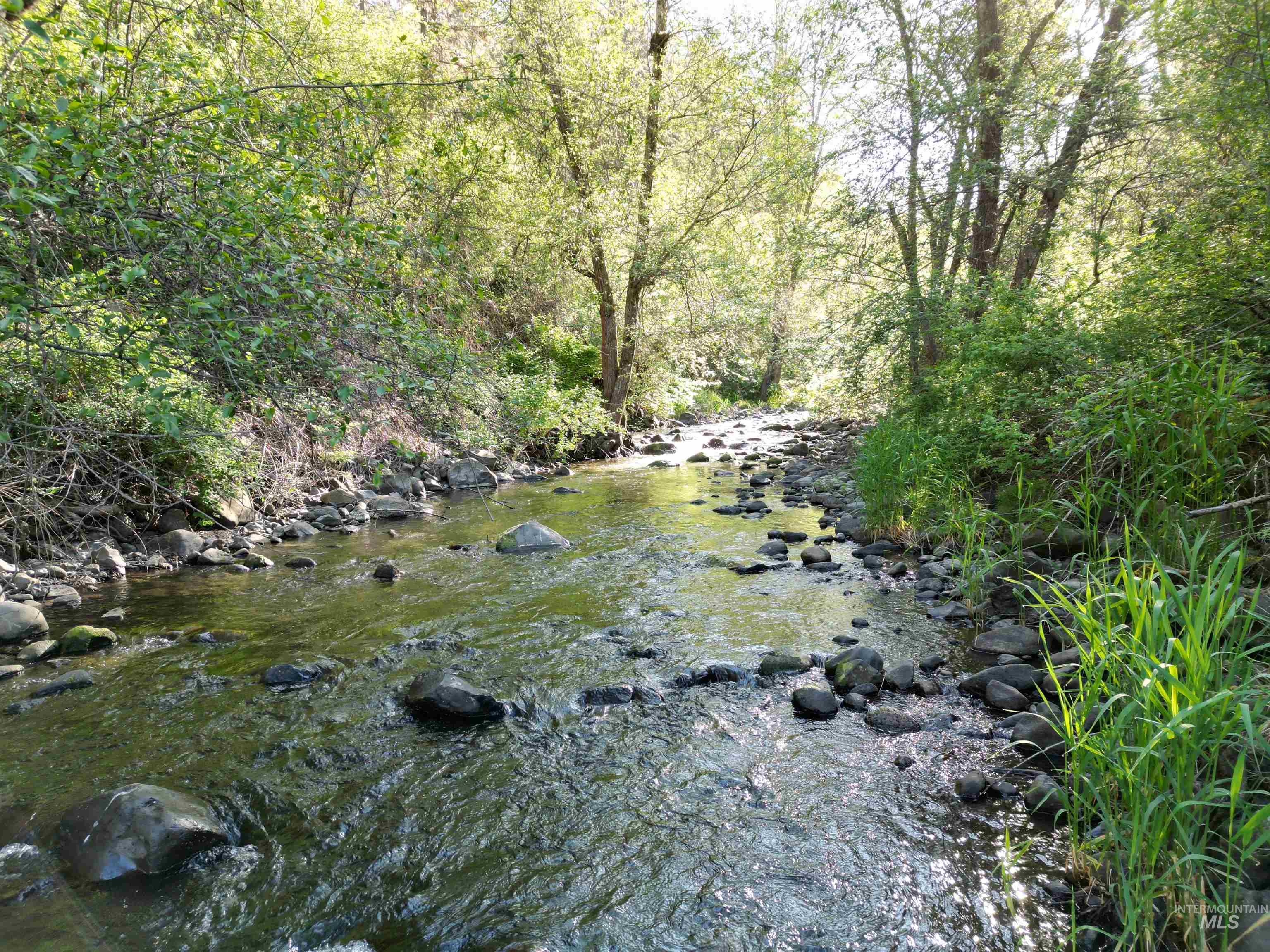 Tbd Twisted Tree Lane Property Photo 24