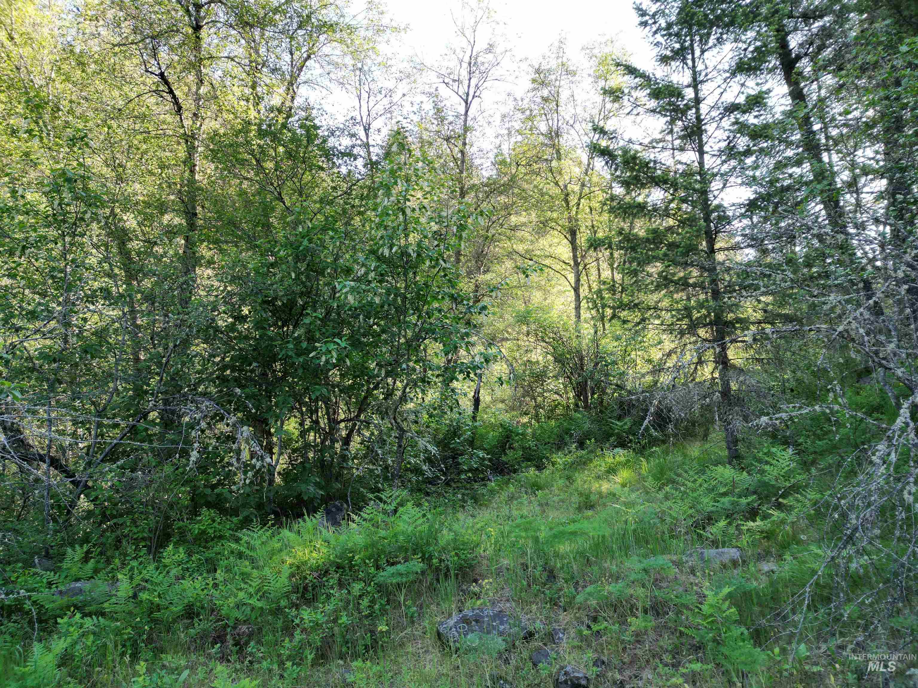 Tbd Twisted Tree Lane Property Photo 25