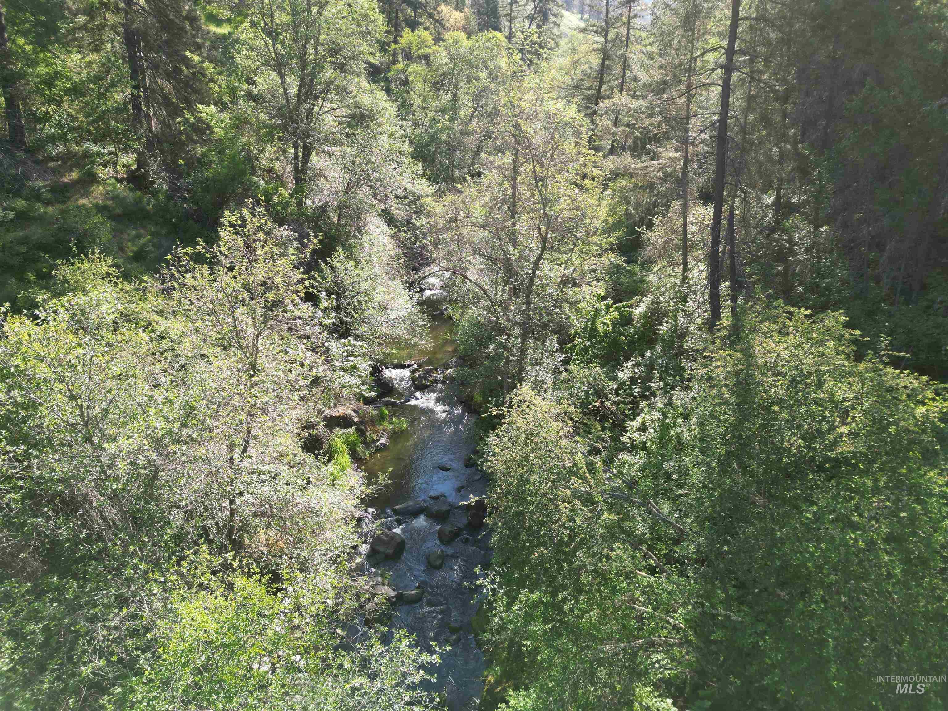 Tbd Twisted Tree Lane Property Photo 26