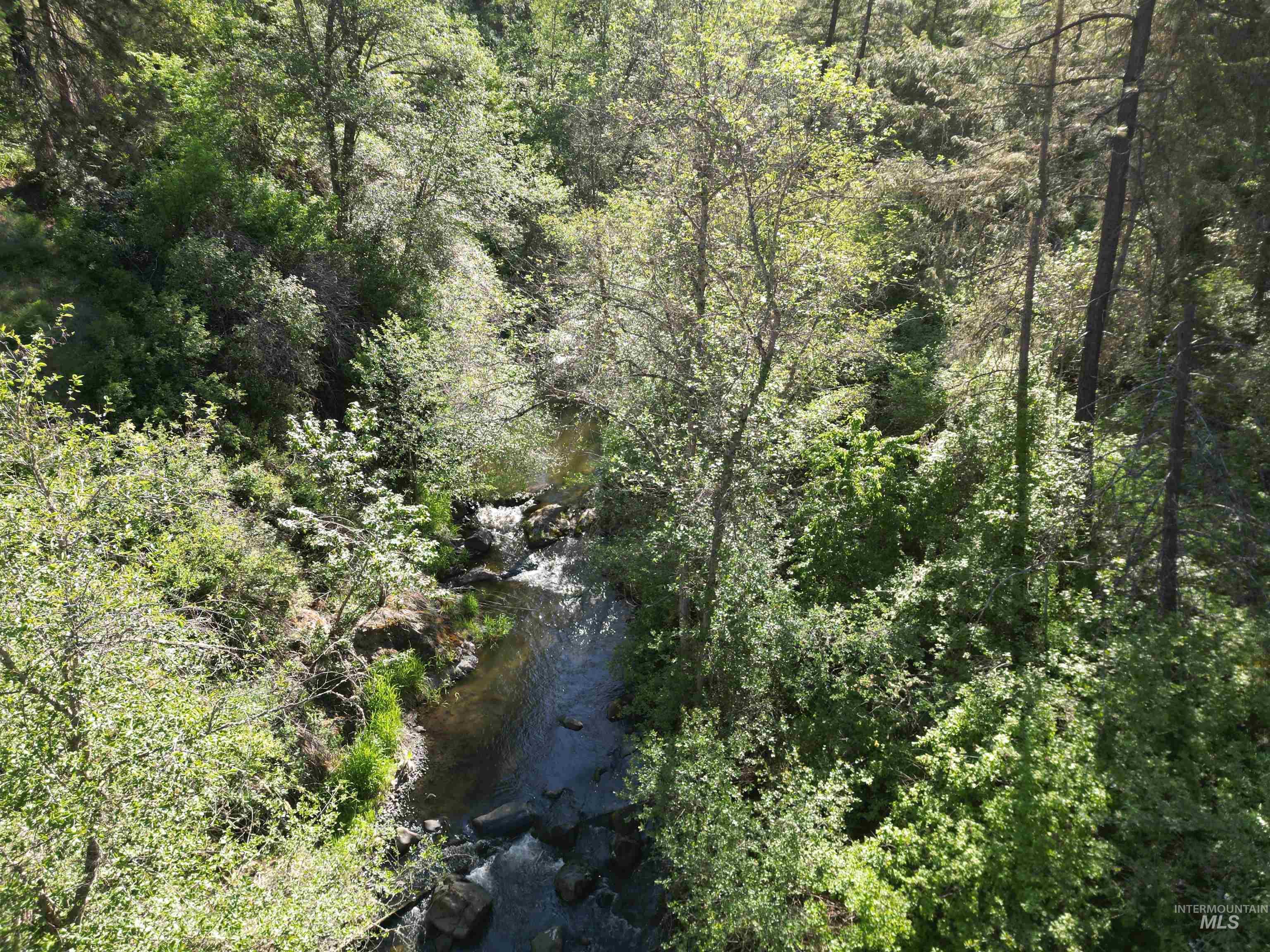 Tbd Twisted Tree Lane Property Photo 27