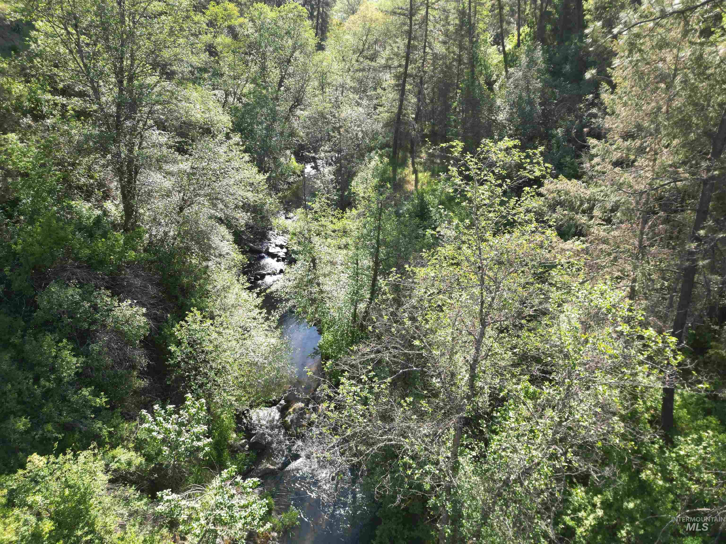 Tbd Twisted Tree Lane Property Photo 28