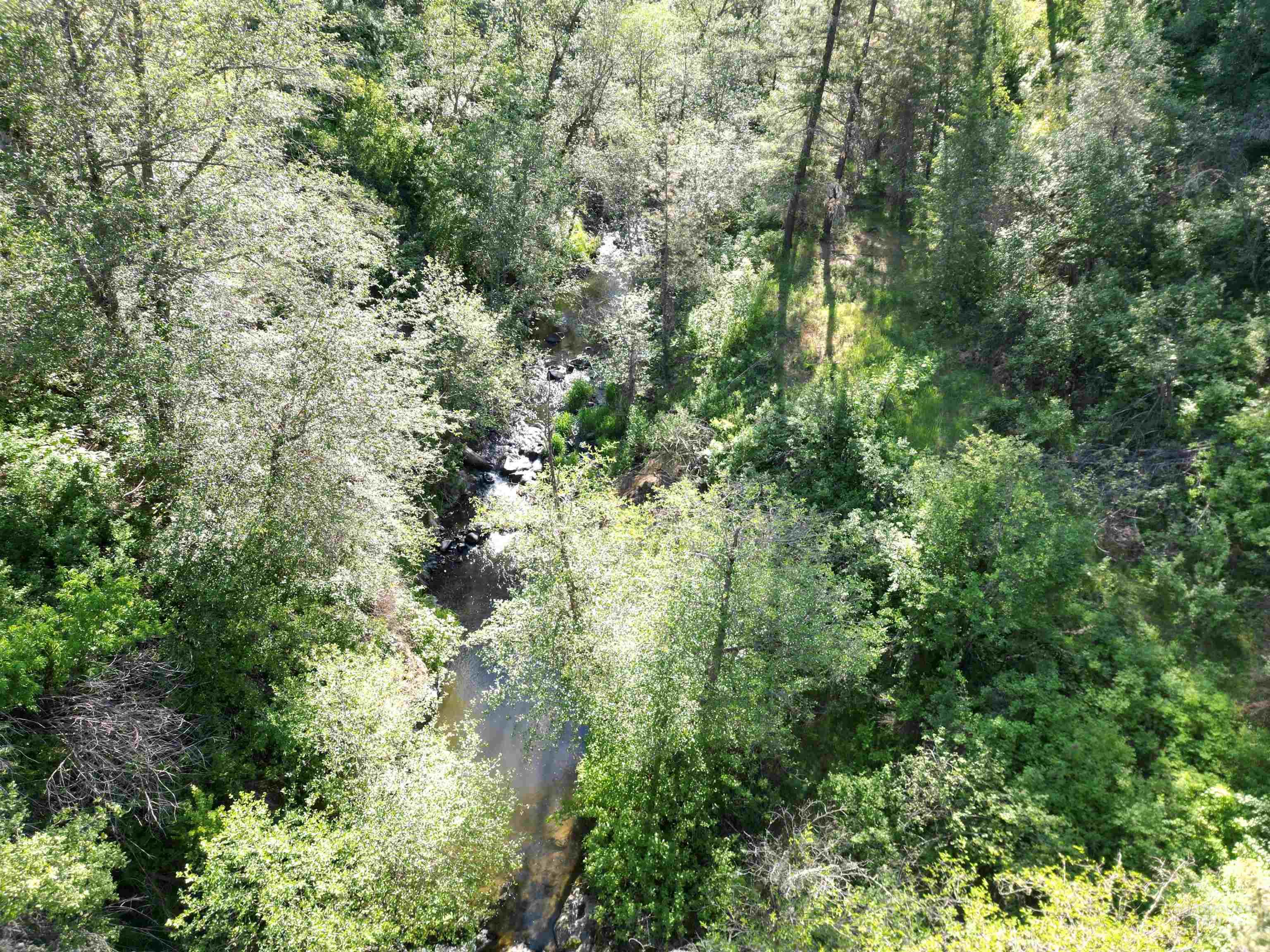 Tbd Twisted Tree Lane Property Photo 29
