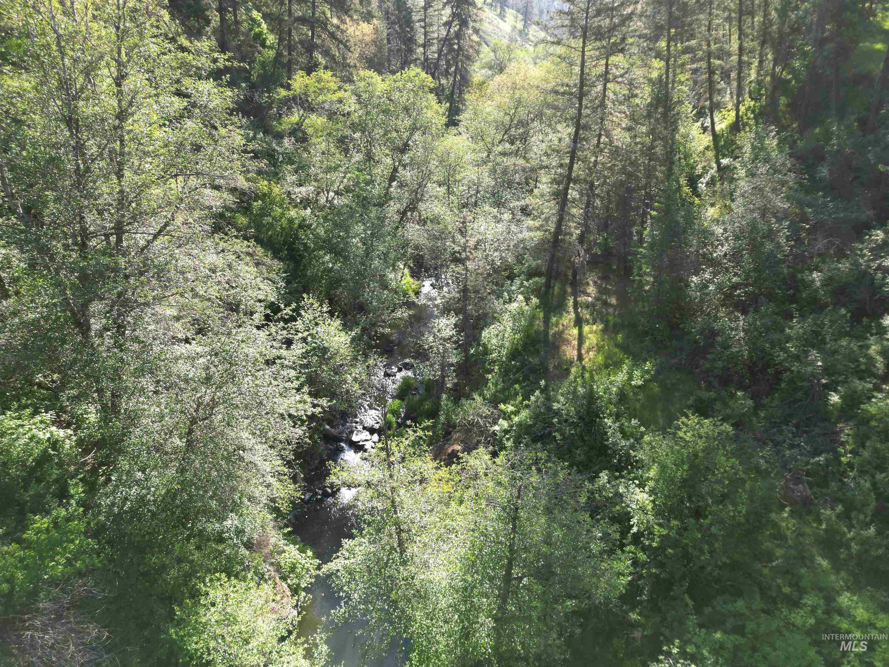 Tbd Twisted Tree Lane Property Photo 30