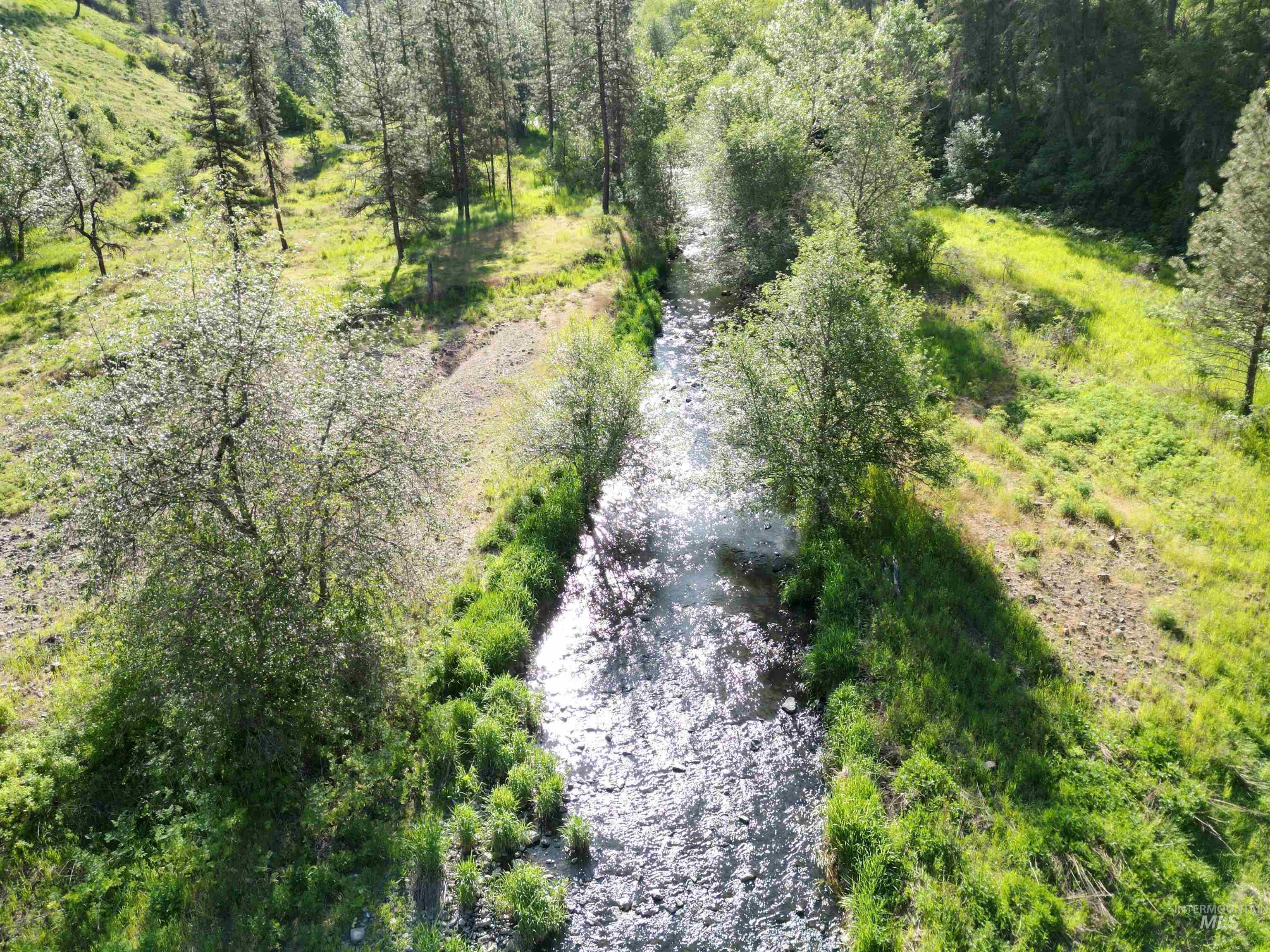 Tbd Twisted Tree Lane Property Photo 32