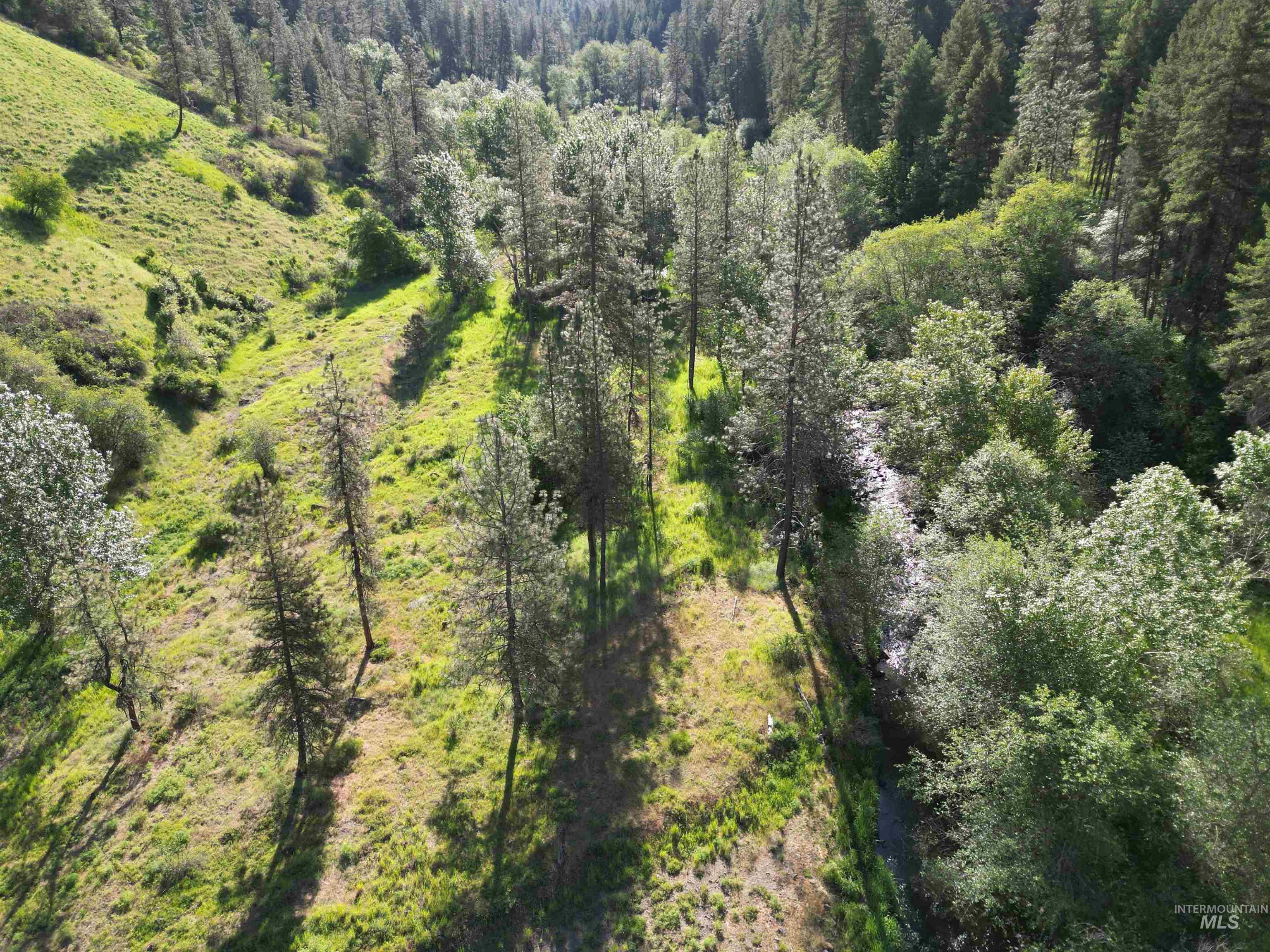 Tbd Twisted Tree Lane Property Photo 33