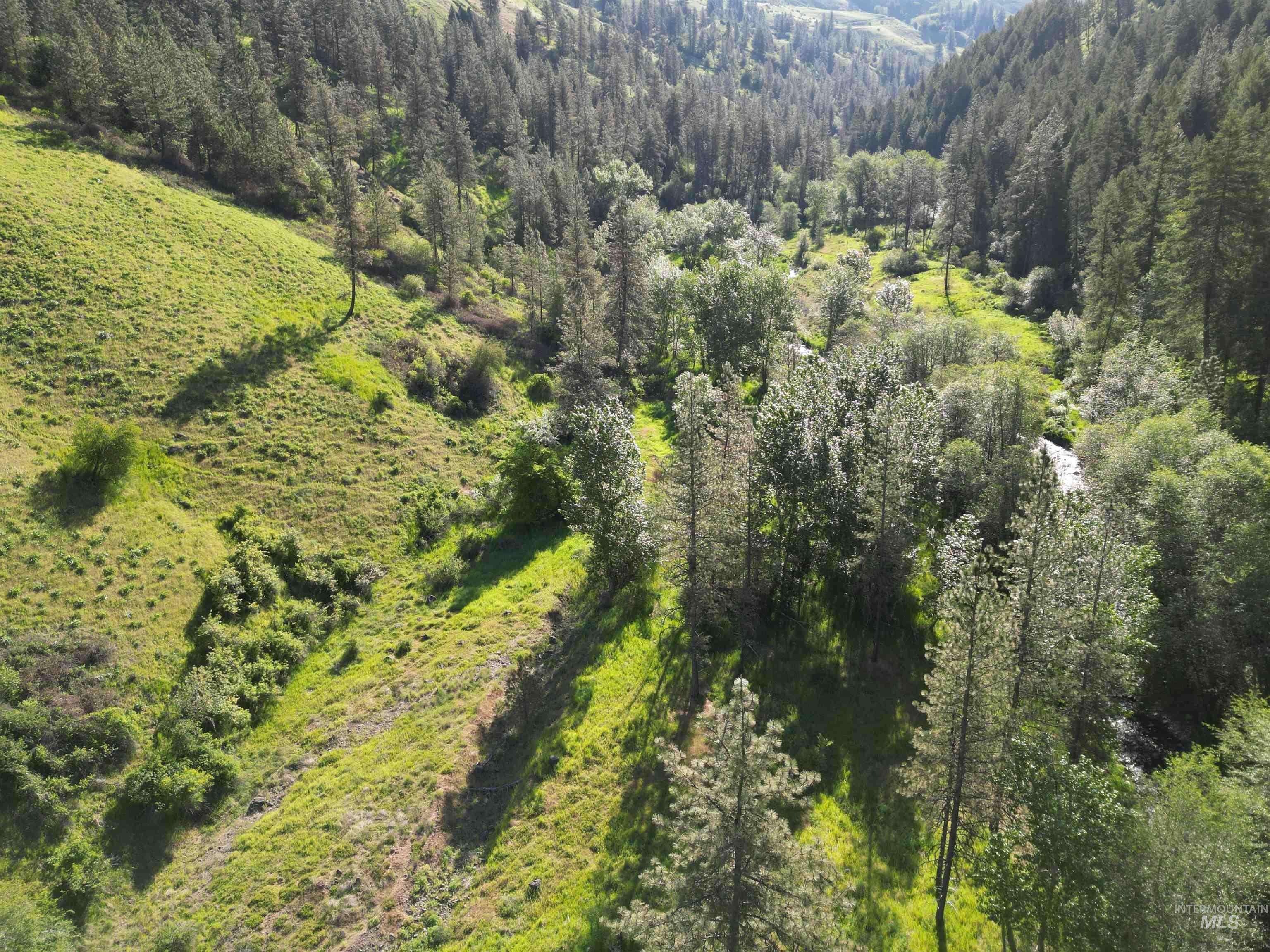 Tbd Twisted Tree Lane Property Photo 34