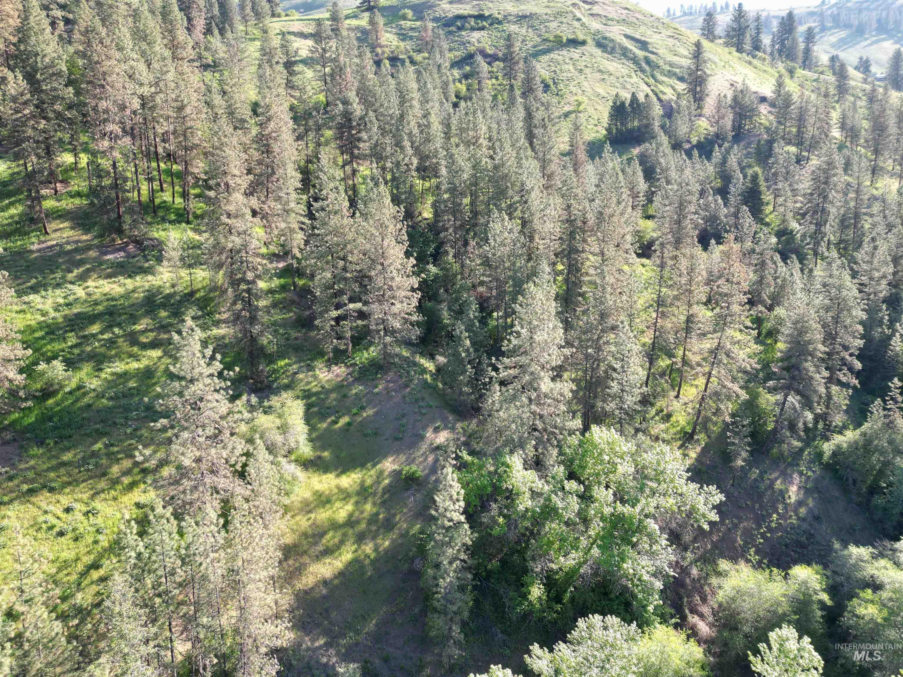 Tbd Twisted Tree Lane Property Photo 38