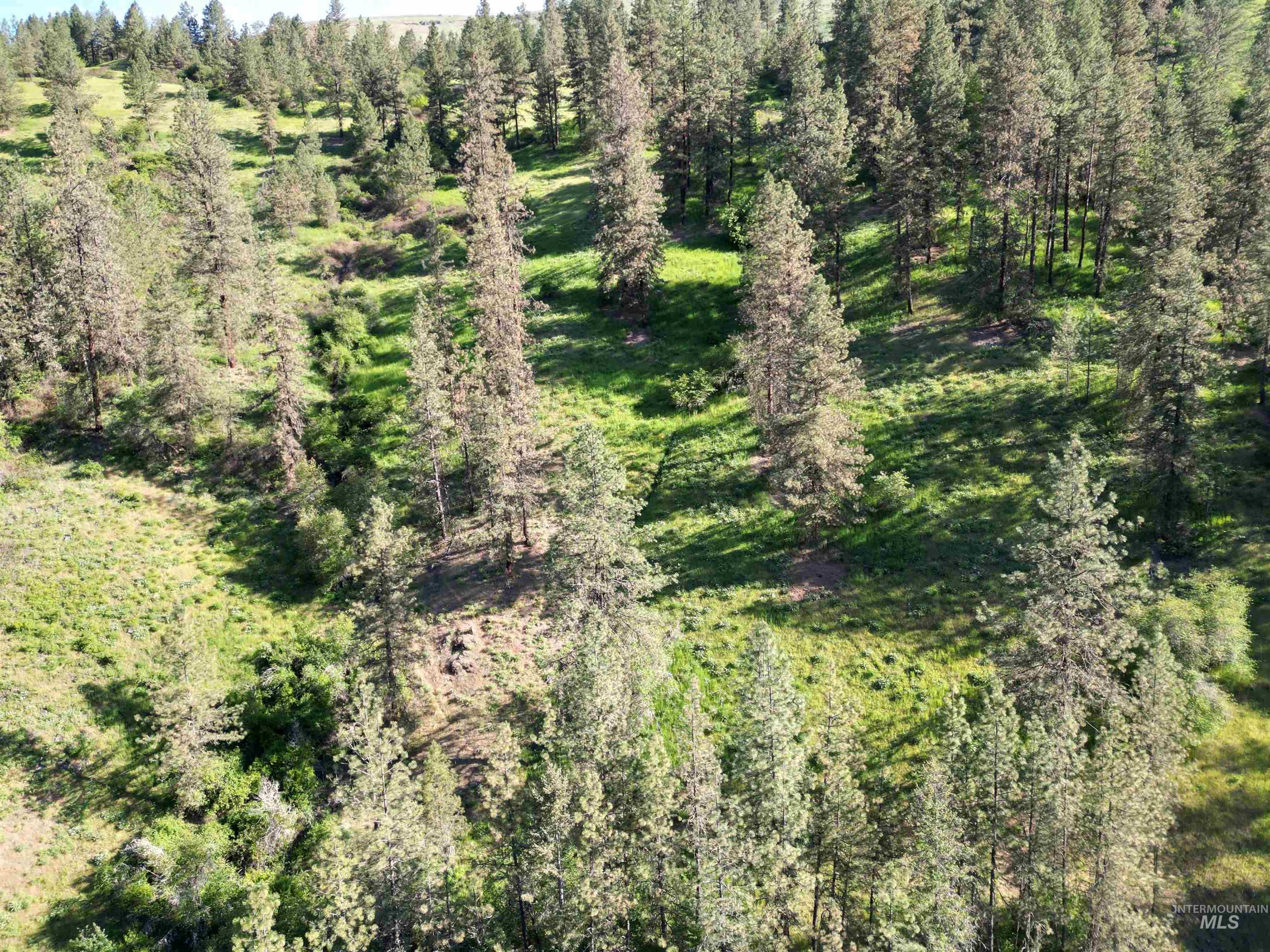 Tbd Twisted Tree Lane Property Photo 39