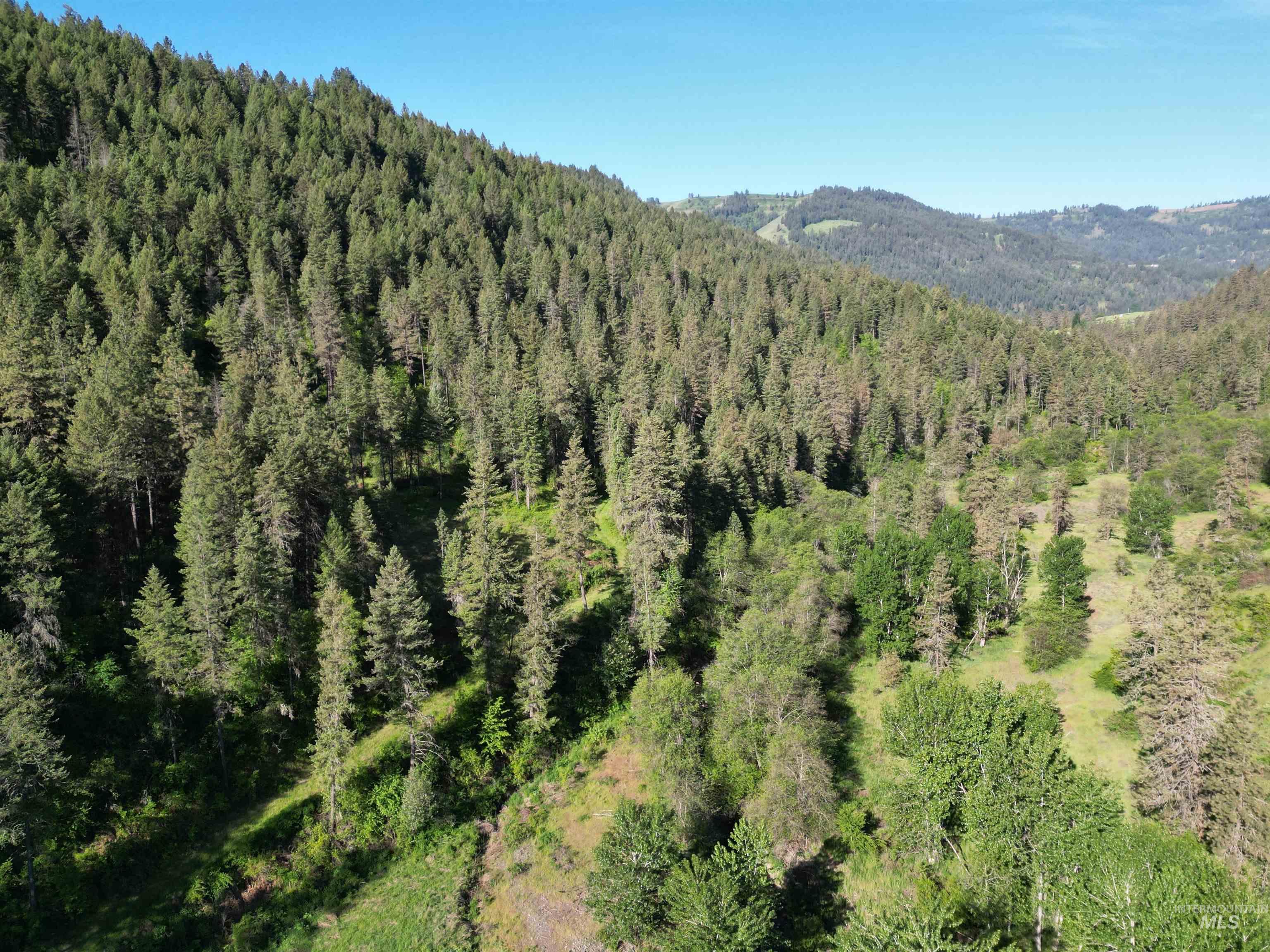 Tbd Twisted Tree Lane Property Photo 41