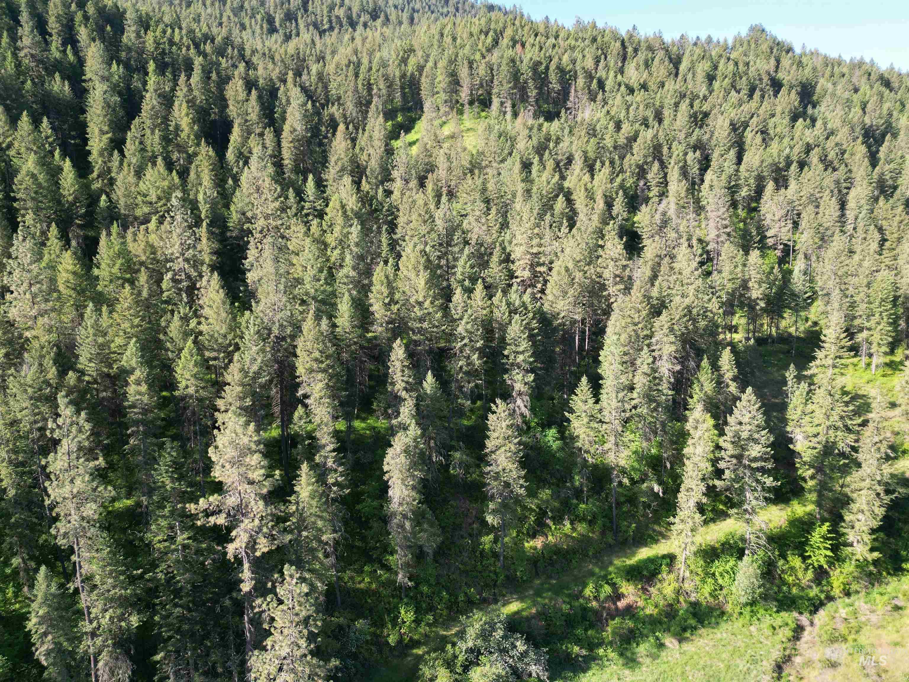 Tbd Twisted Tree Lane Property Photo 42