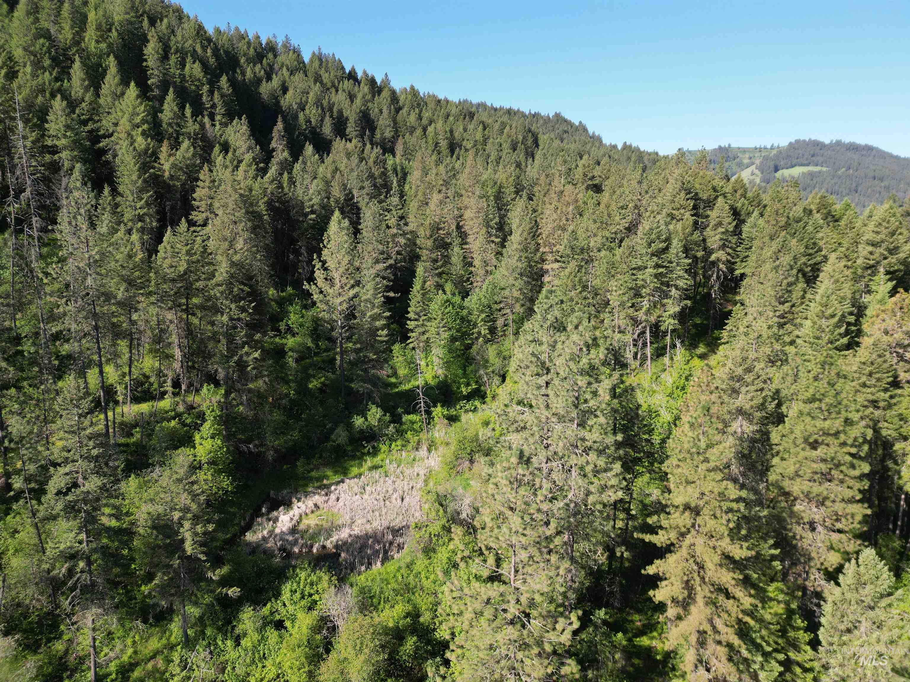 Tbd Twisted Tree Lane Property Photo 44