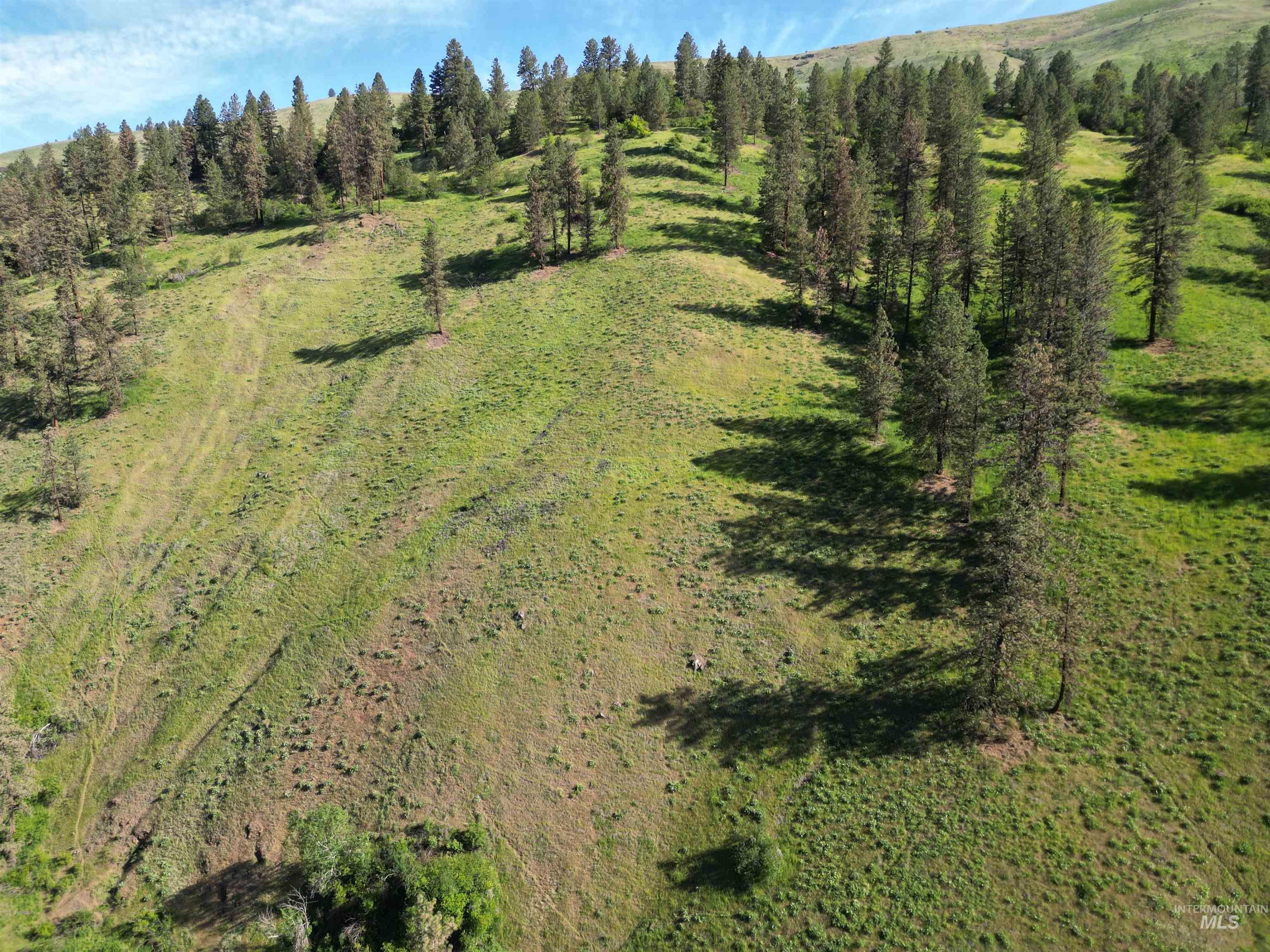 Tbd Twisted Tree Lane Property Photo 45