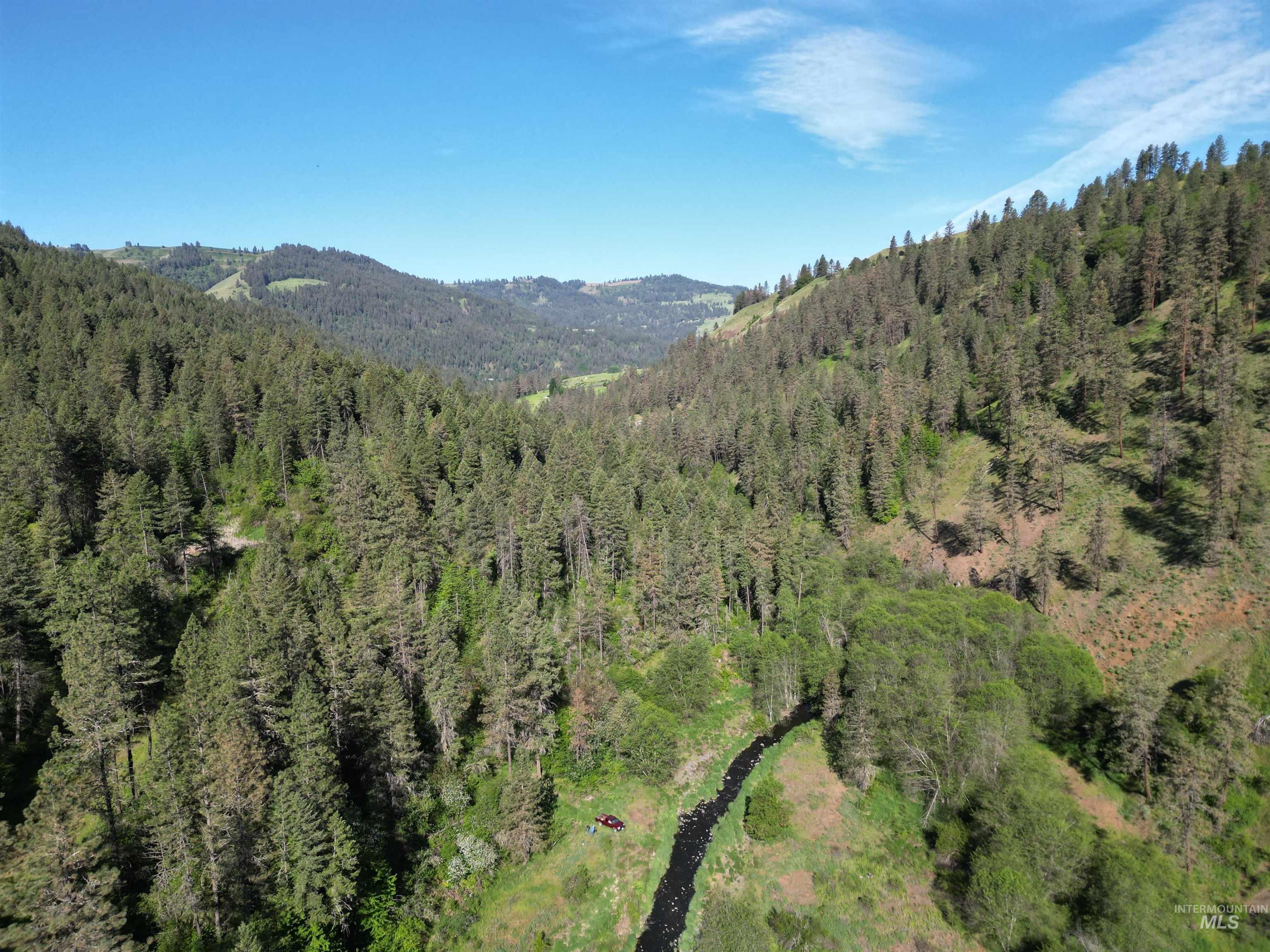 Tbd Twisted Tree Lane Property Photo 46