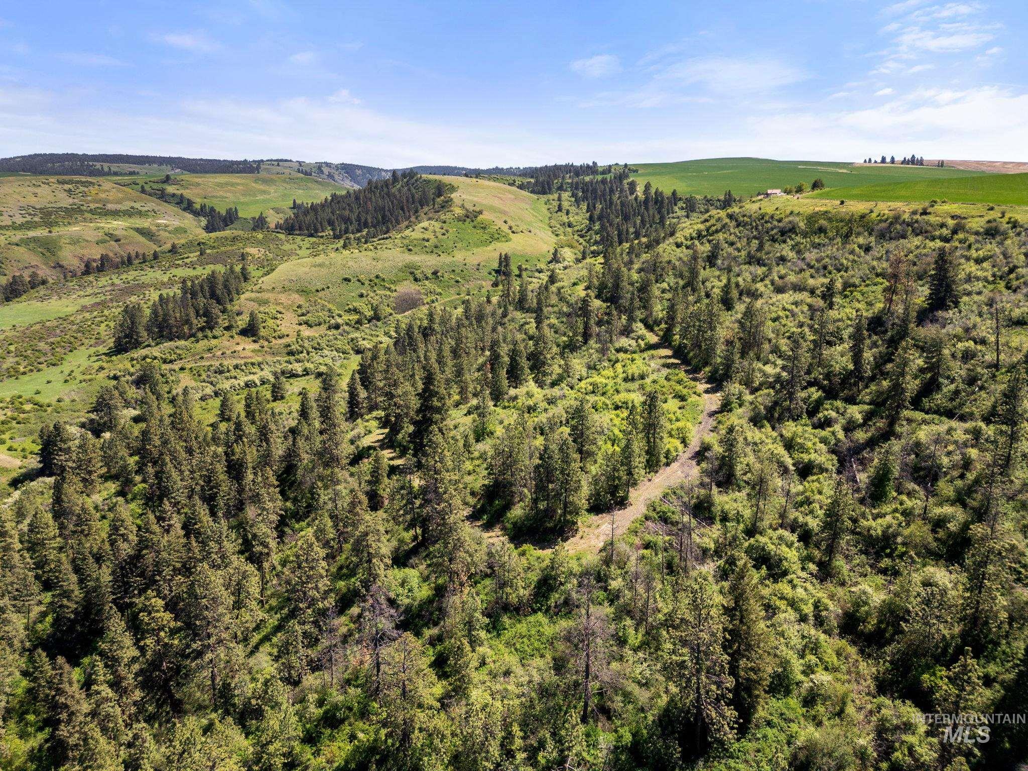 37607 Webb Ridge Road Property Photo 1