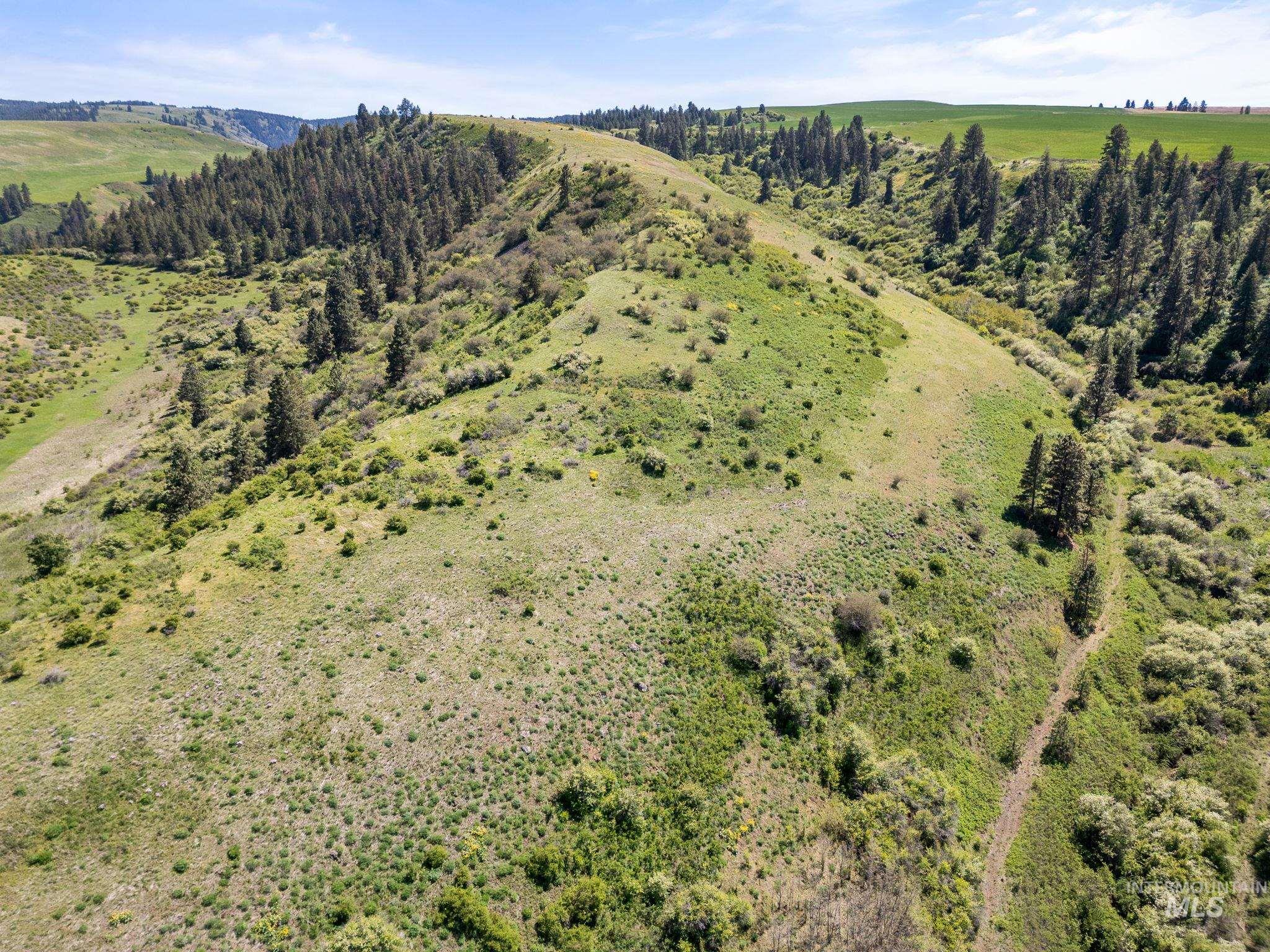 37607 Webb Ridge Road Property Photo 2