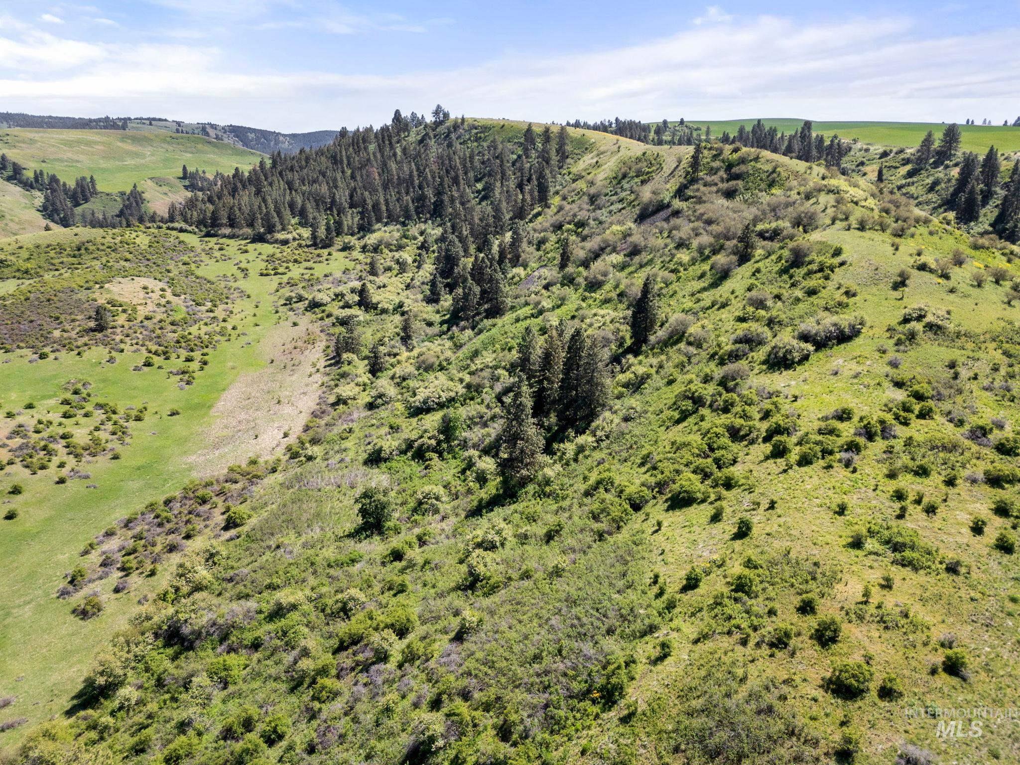 37607 Webb Ridge Road Property Photo 9