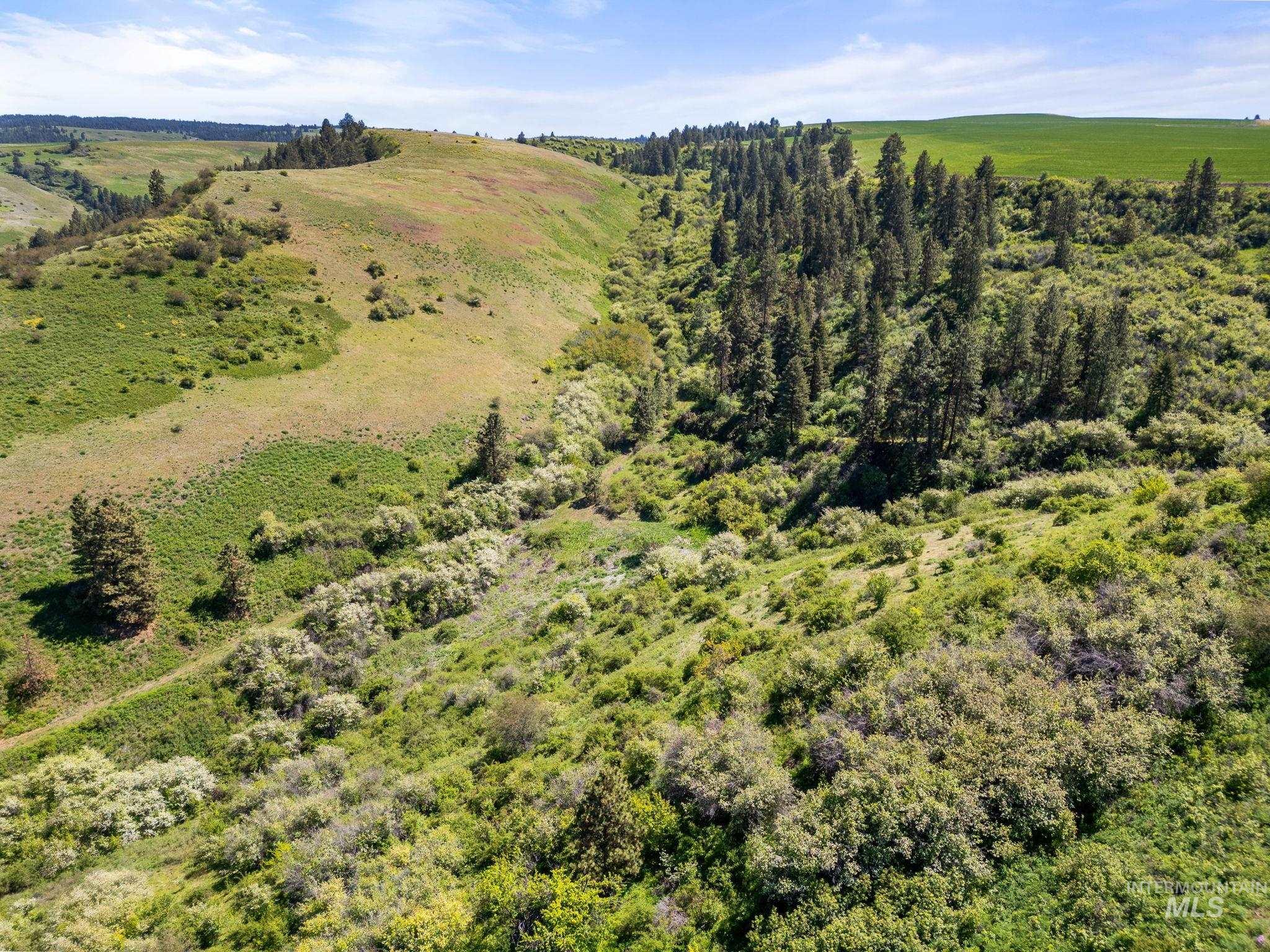 37607 Webb Ridge Road Property Photo 14