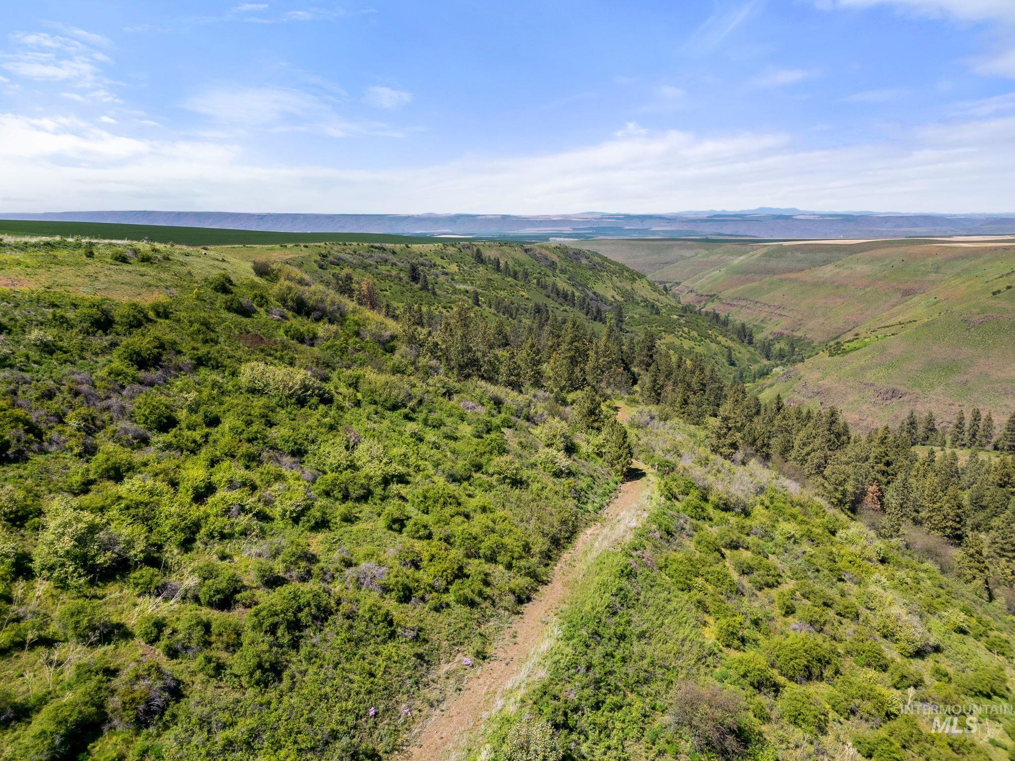 37607 Webb Ridge Road Property Photo 15