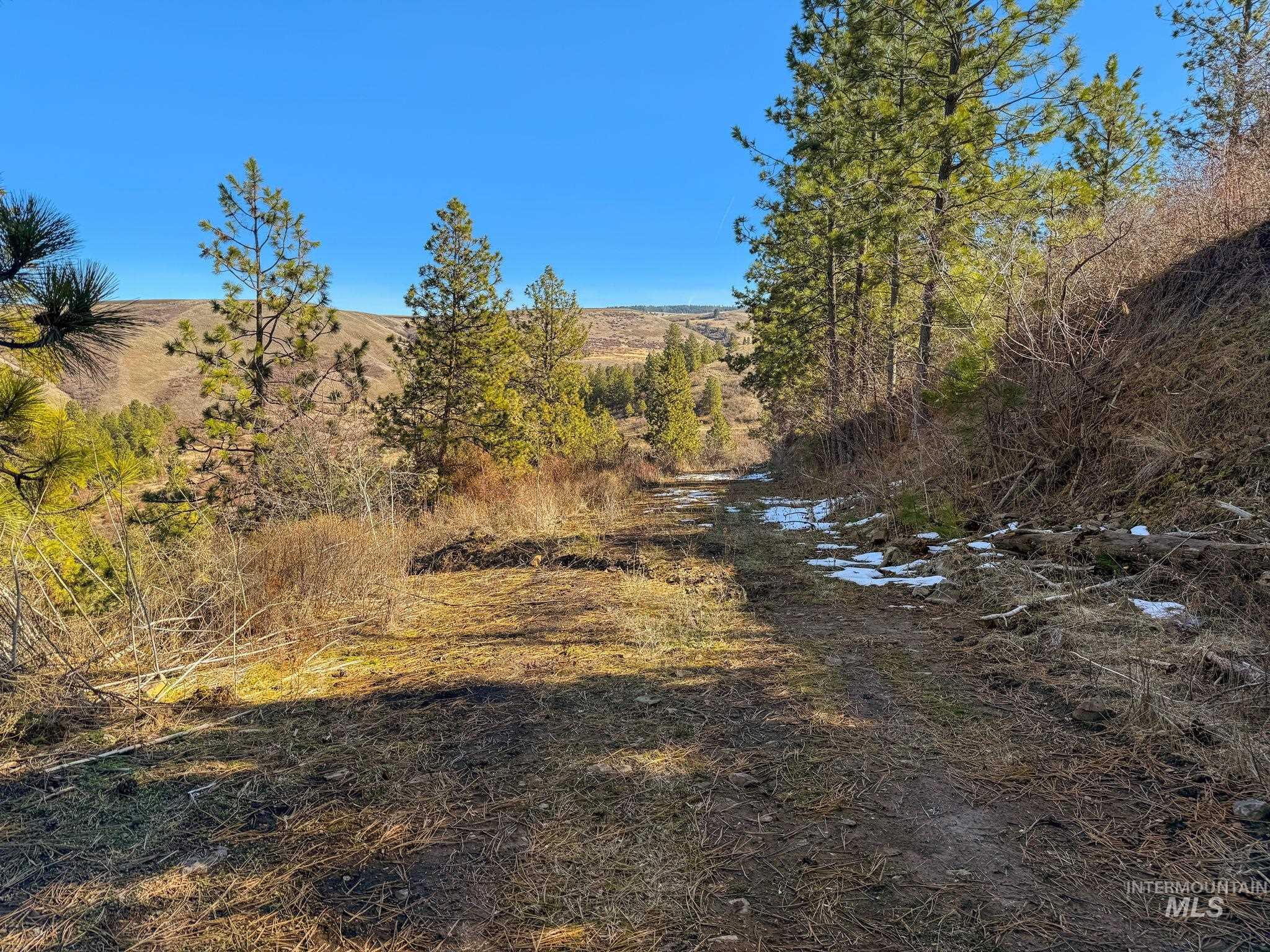 37607 Webb Ridge Road Property Photo 33
