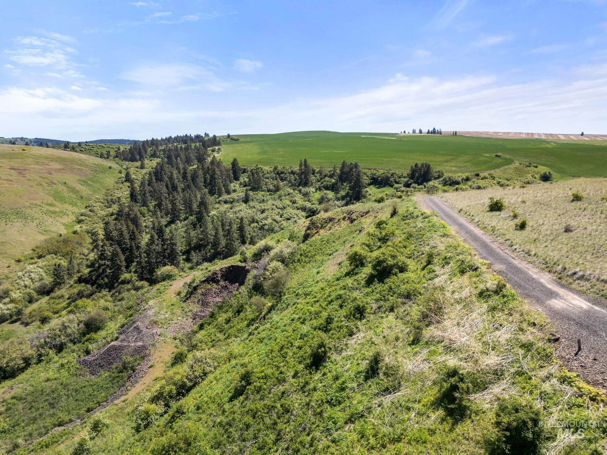 37607 Webb Ridge Road Property Photo 37