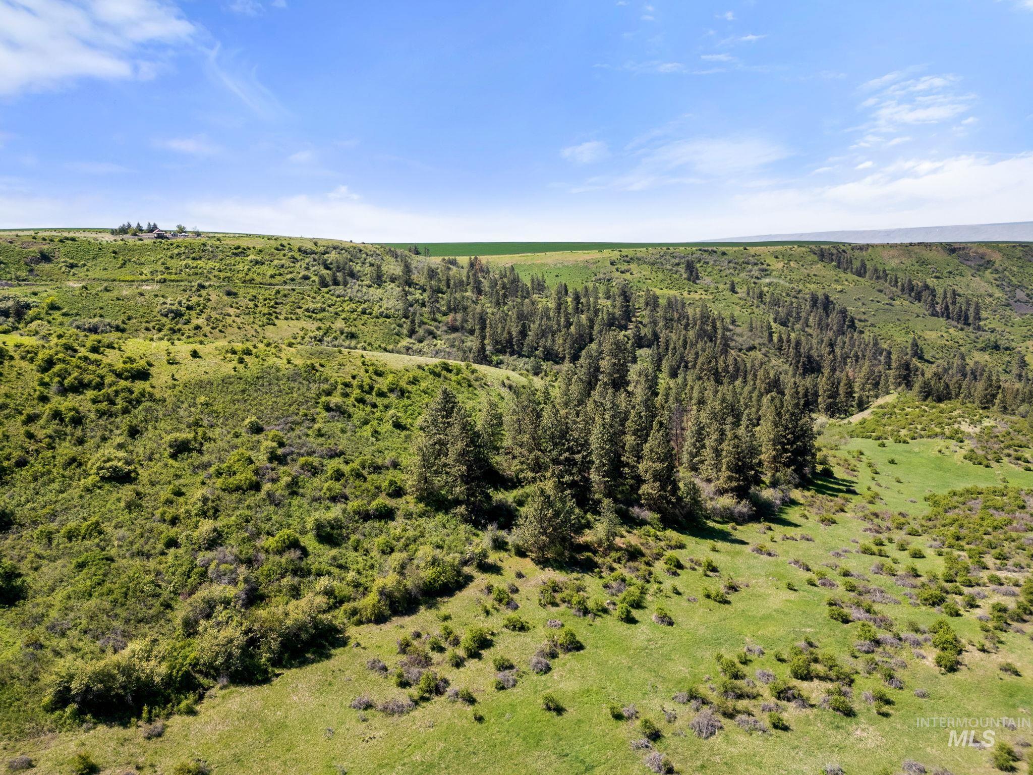 37607 Webb Ridge Road Property Photo 38