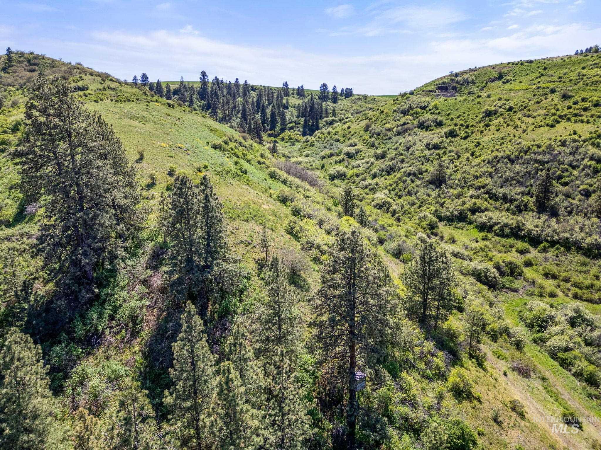 37607 Webb Ridge Road Property Photo 39