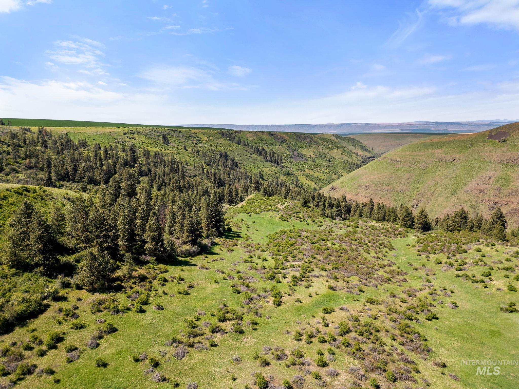 37607 Webb Ridge Road Property Photo 40