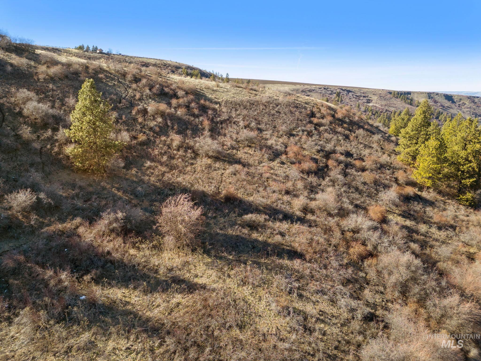 37607 Webb Ridge Road Property Photo 41
