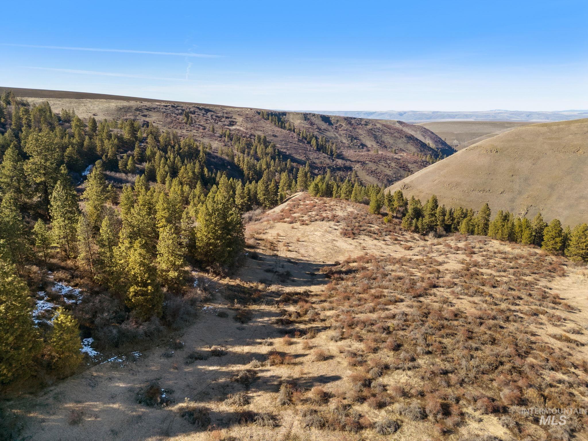 37607 Webb Ridge Road Property Photo 42