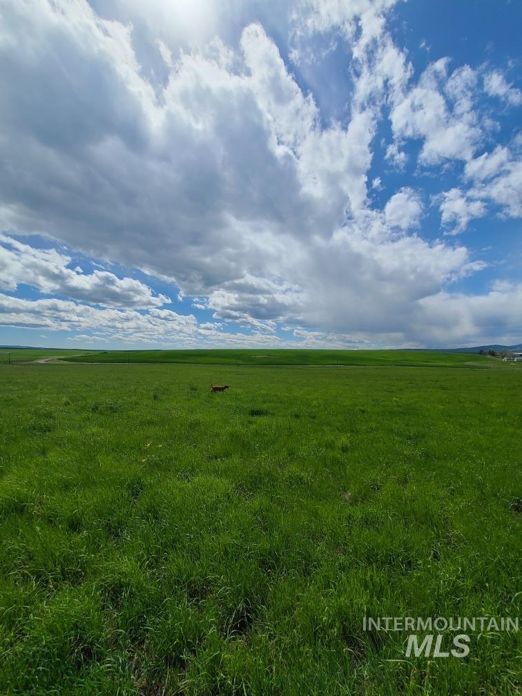 134 Creek View Lane Property Photo 7