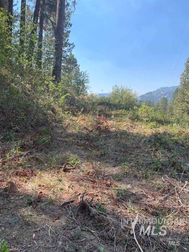 Tbd Gooseberry Creek Ln Property Photo 17