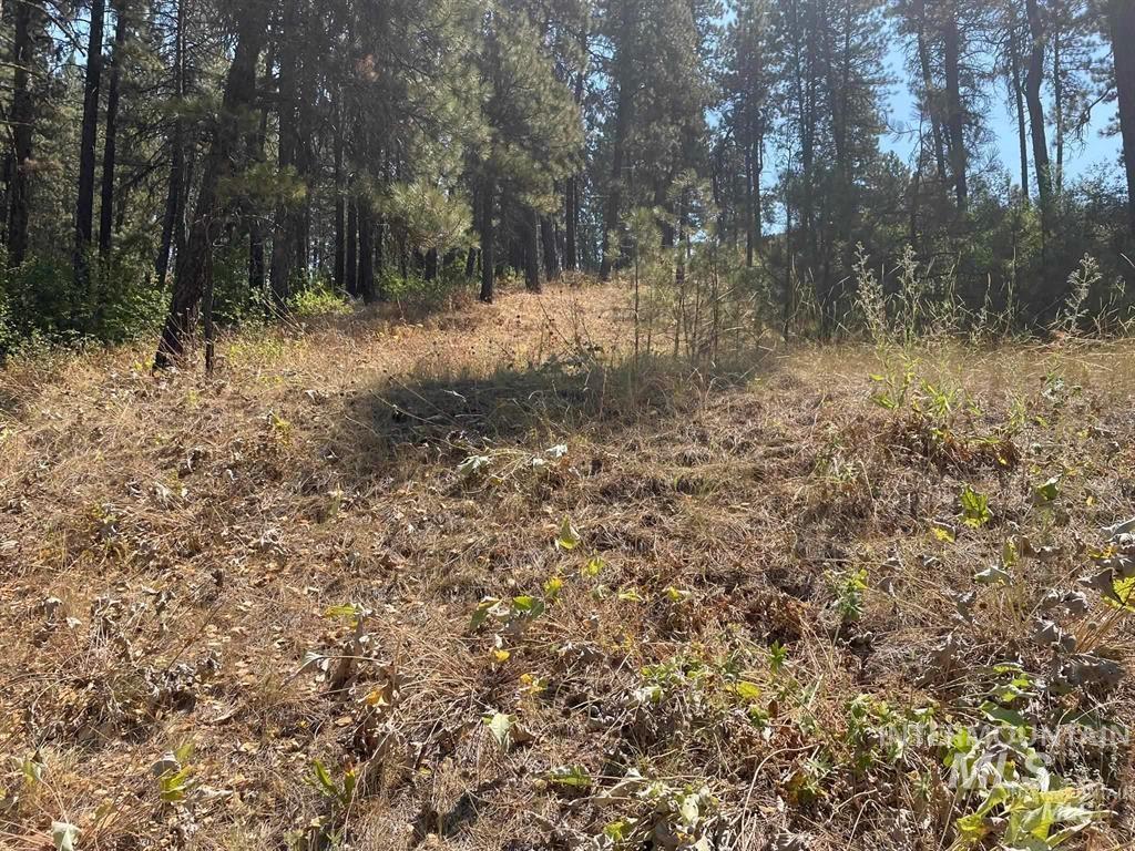 Tbd Gooseberry Creek Ln Property Photo 19
