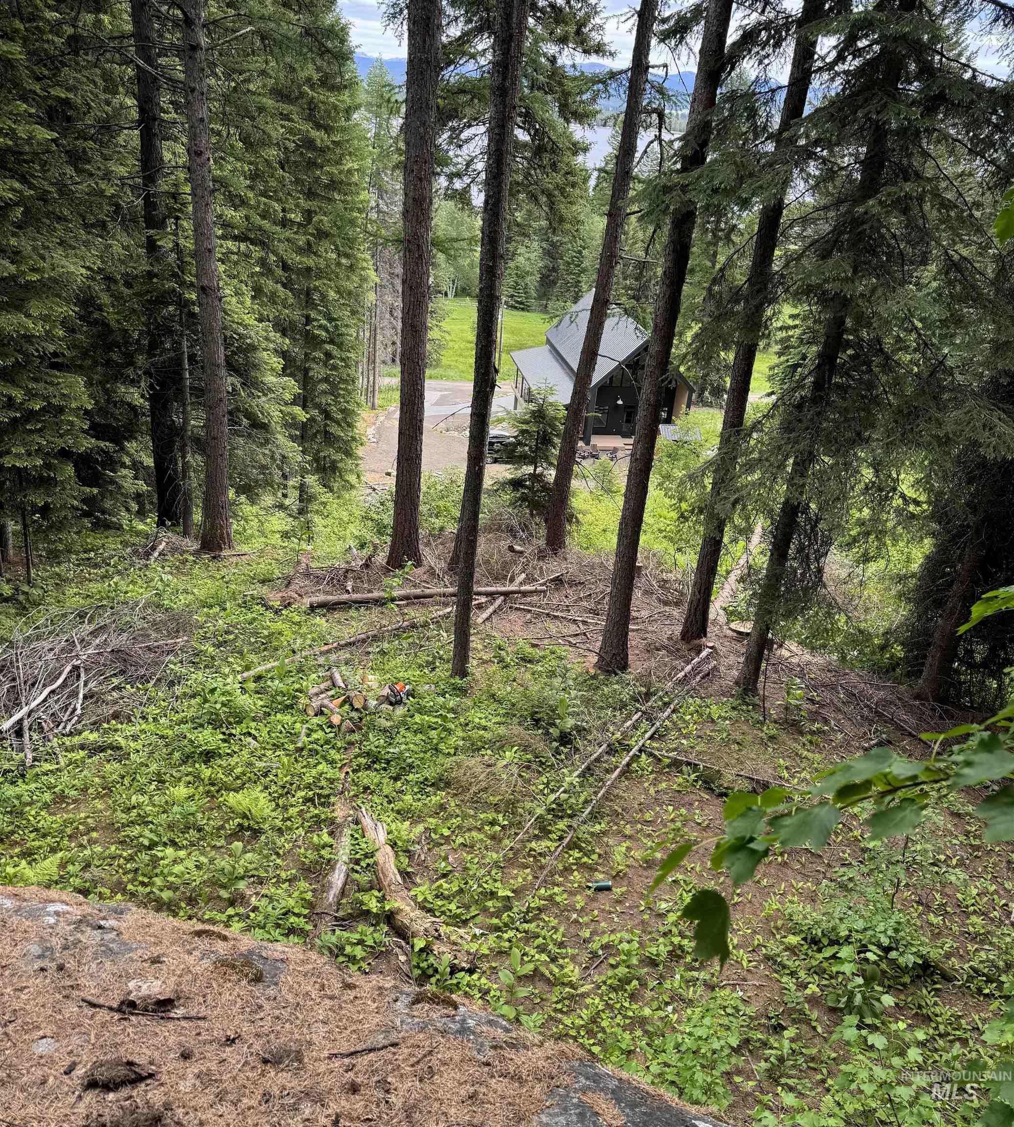 2269 Franks Property Photo 47