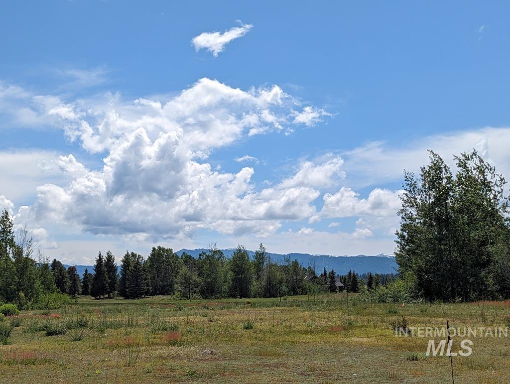 Lot 31 Rawhide Loop Property Photo 2