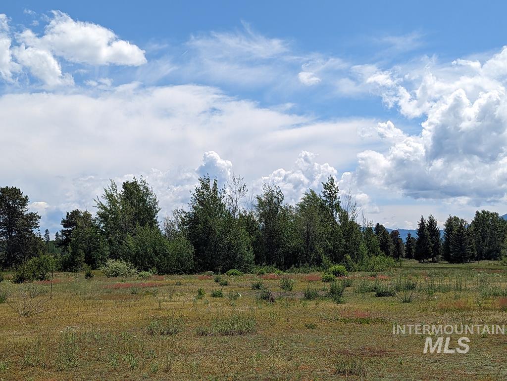 Lot 31 Rawhide Loop Property Photo 3
