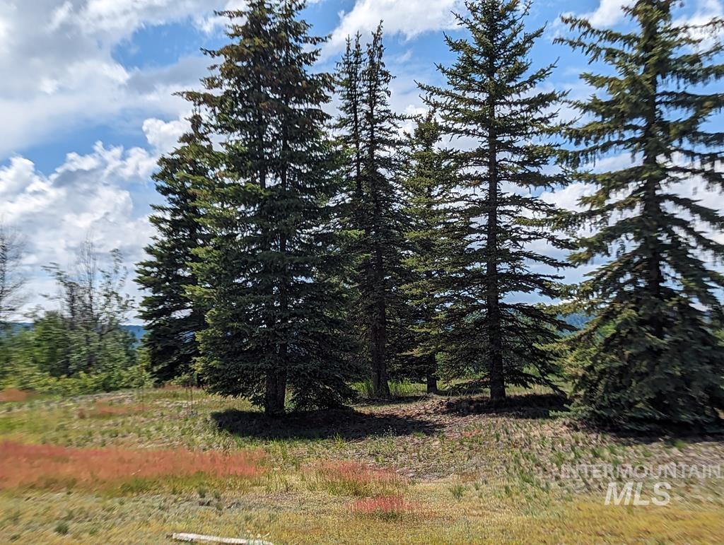 Lot 31 Rawhide Loop Property Photo 4