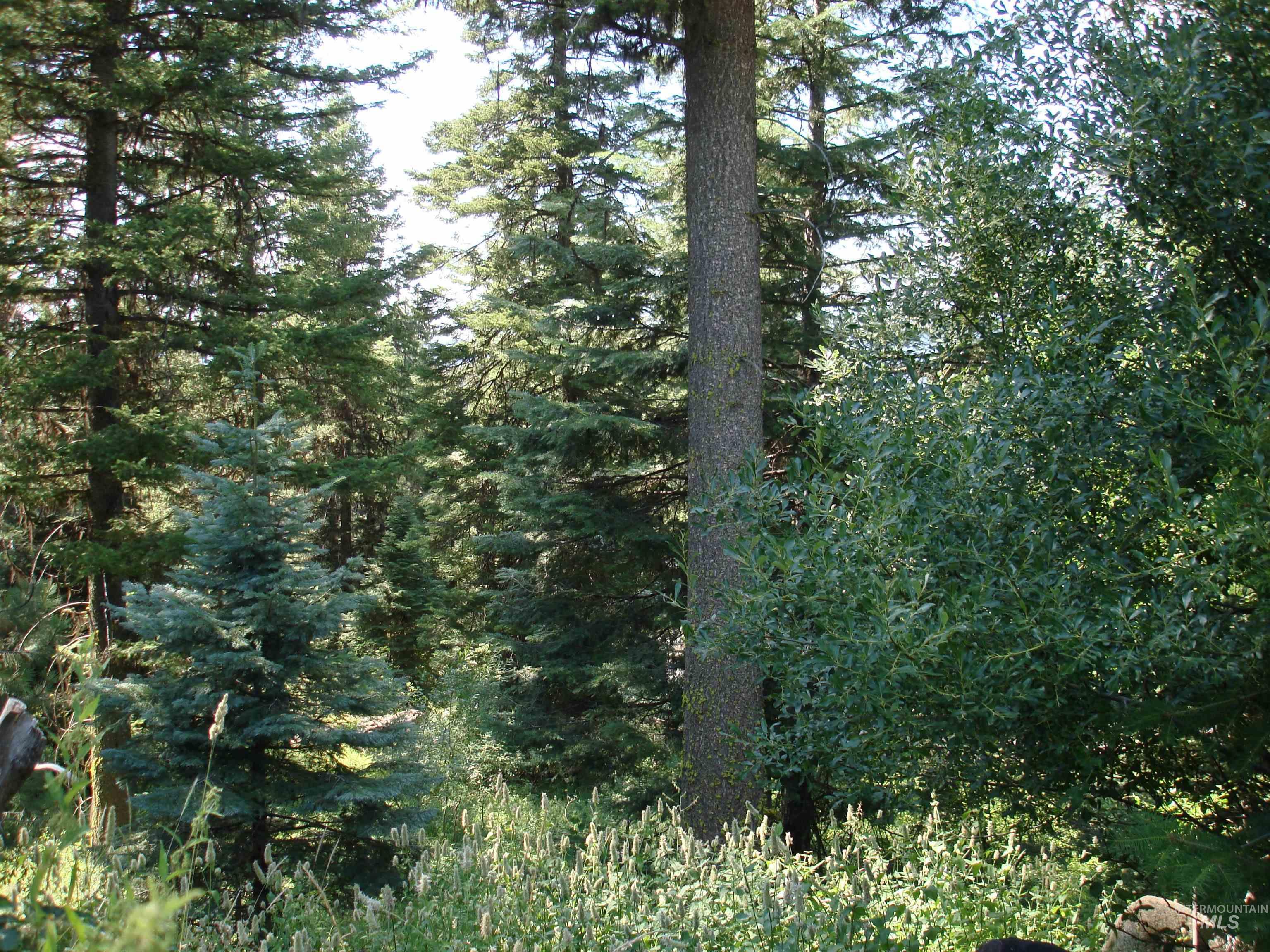 Lot 68 Aspen Ridge Lane Property Photo 2