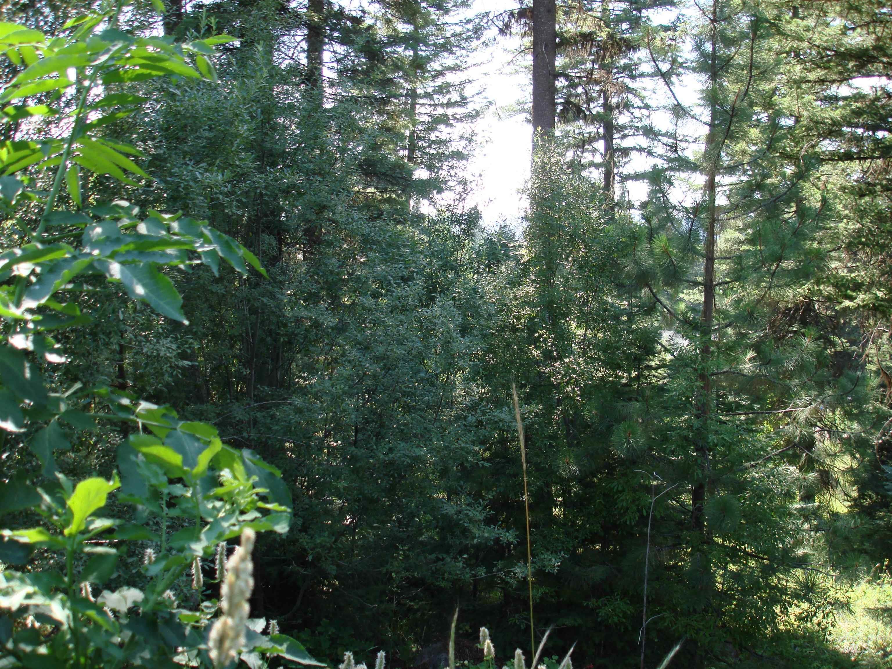 Lot 68 Aspen Ridge Lane Property Photo 4
