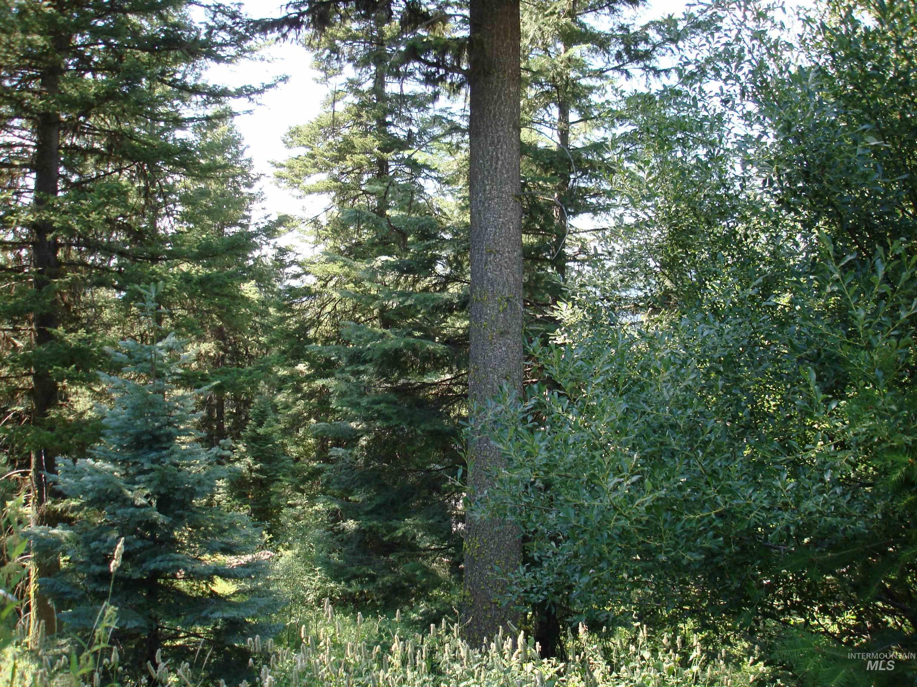 Lot 68 Aspen Ridge Lane Property Photo 5