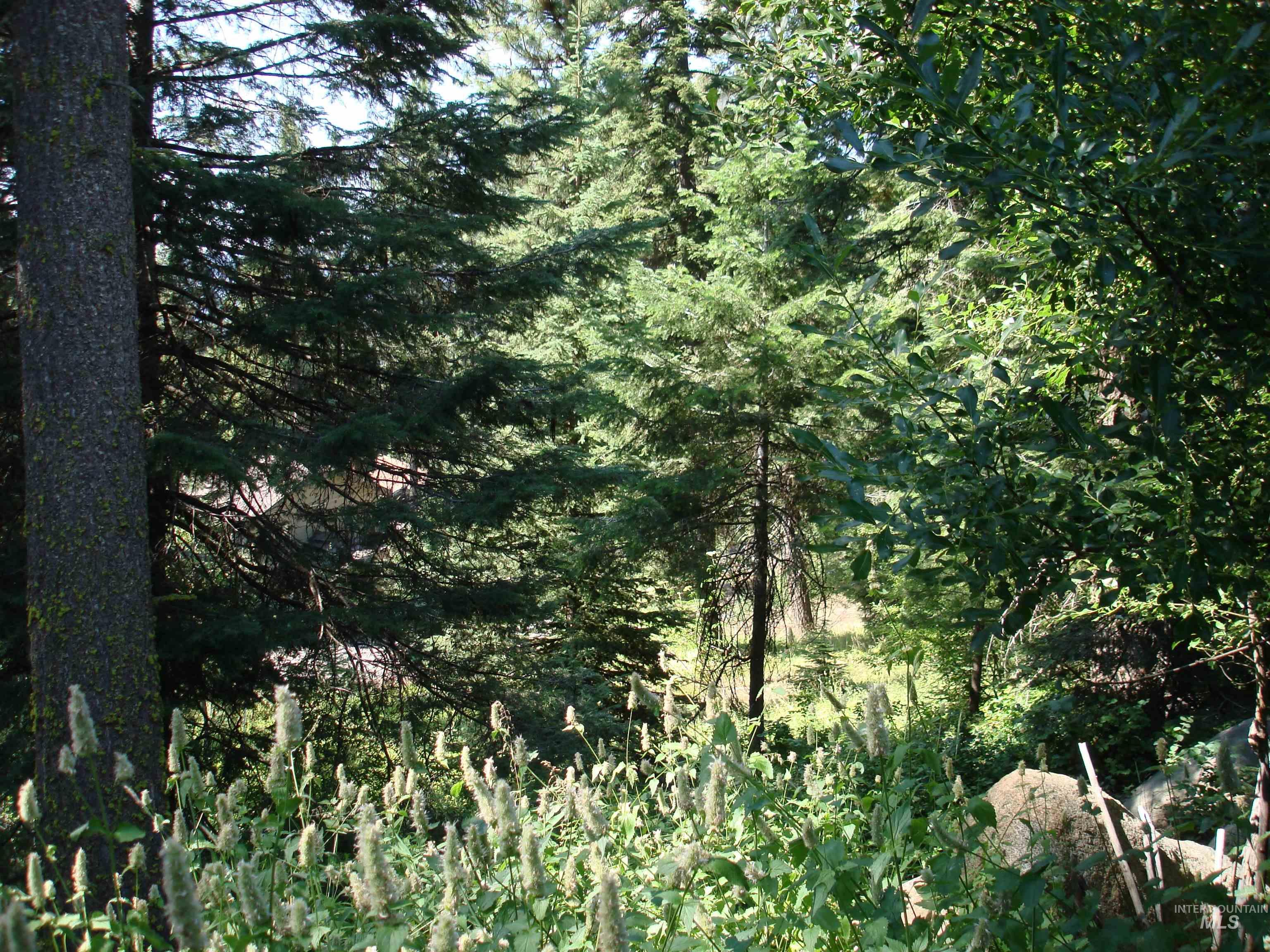 Lot 68 Aspen Ridge Lane Property Photo 6