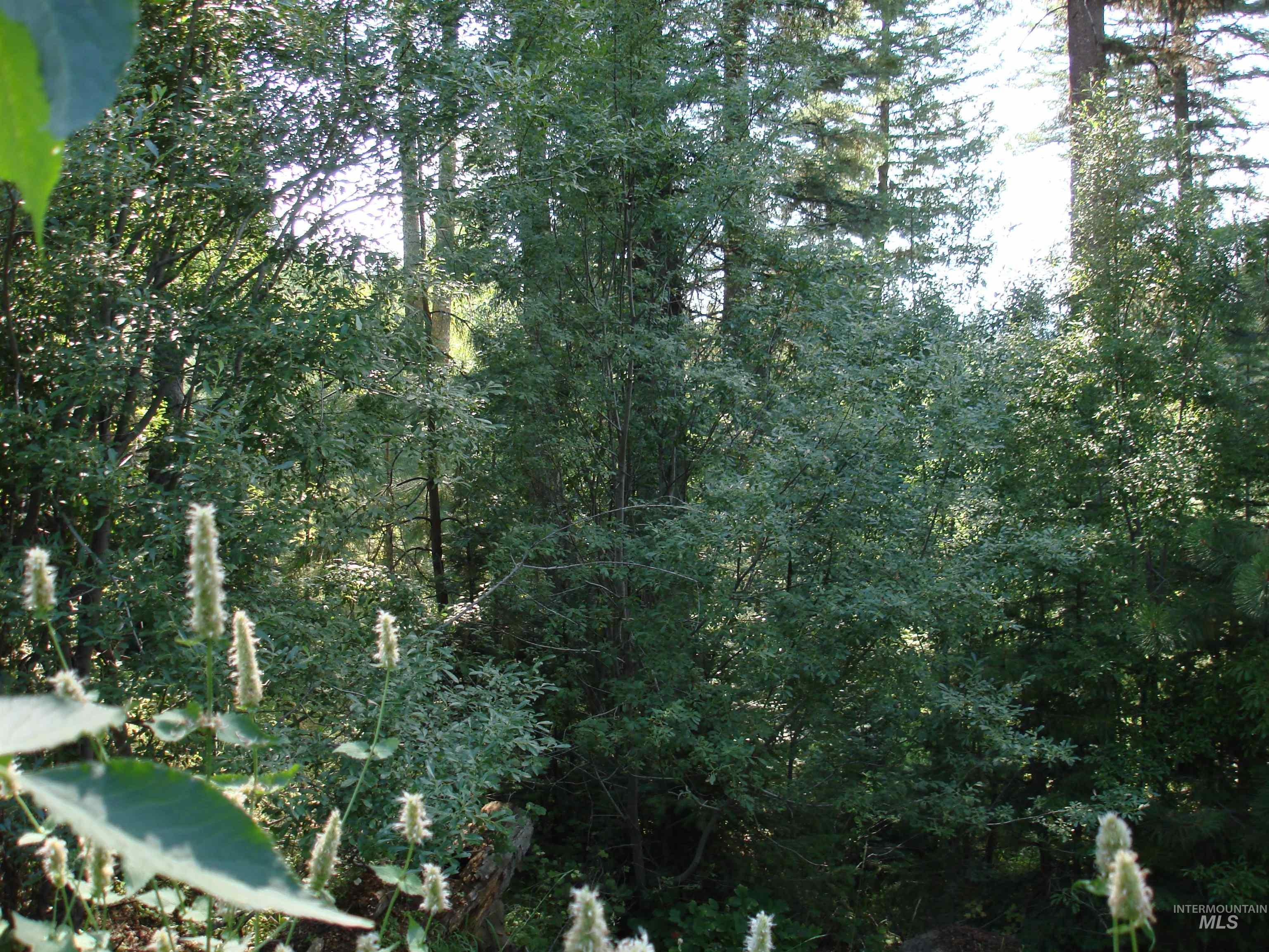 Lot 68 Aspen Ridge Lane Property Photo 8