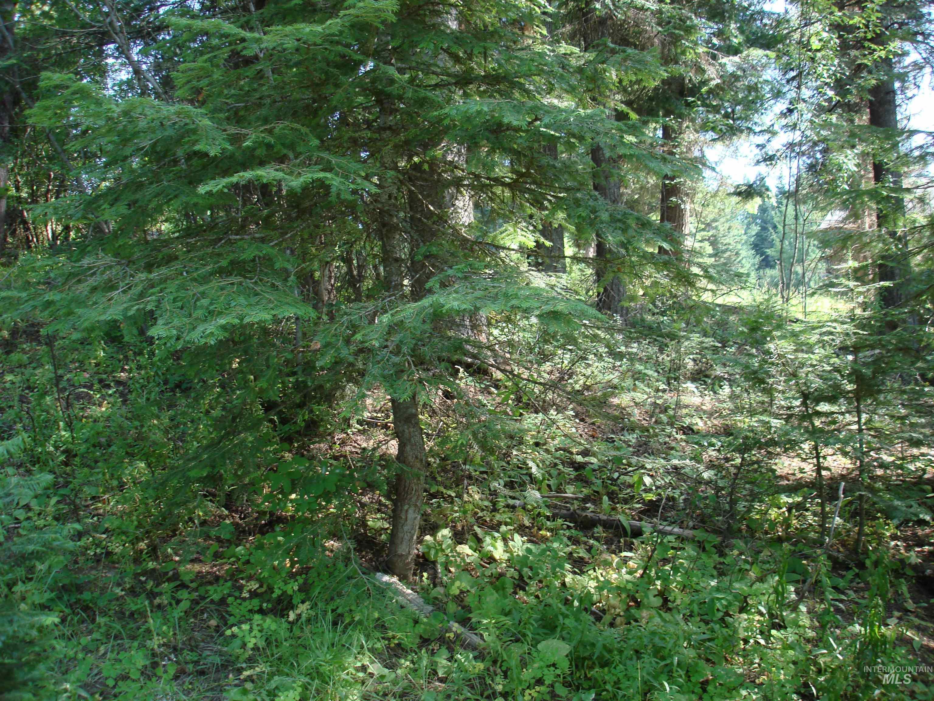 Lot 2 Majestic View Drive Property Photo