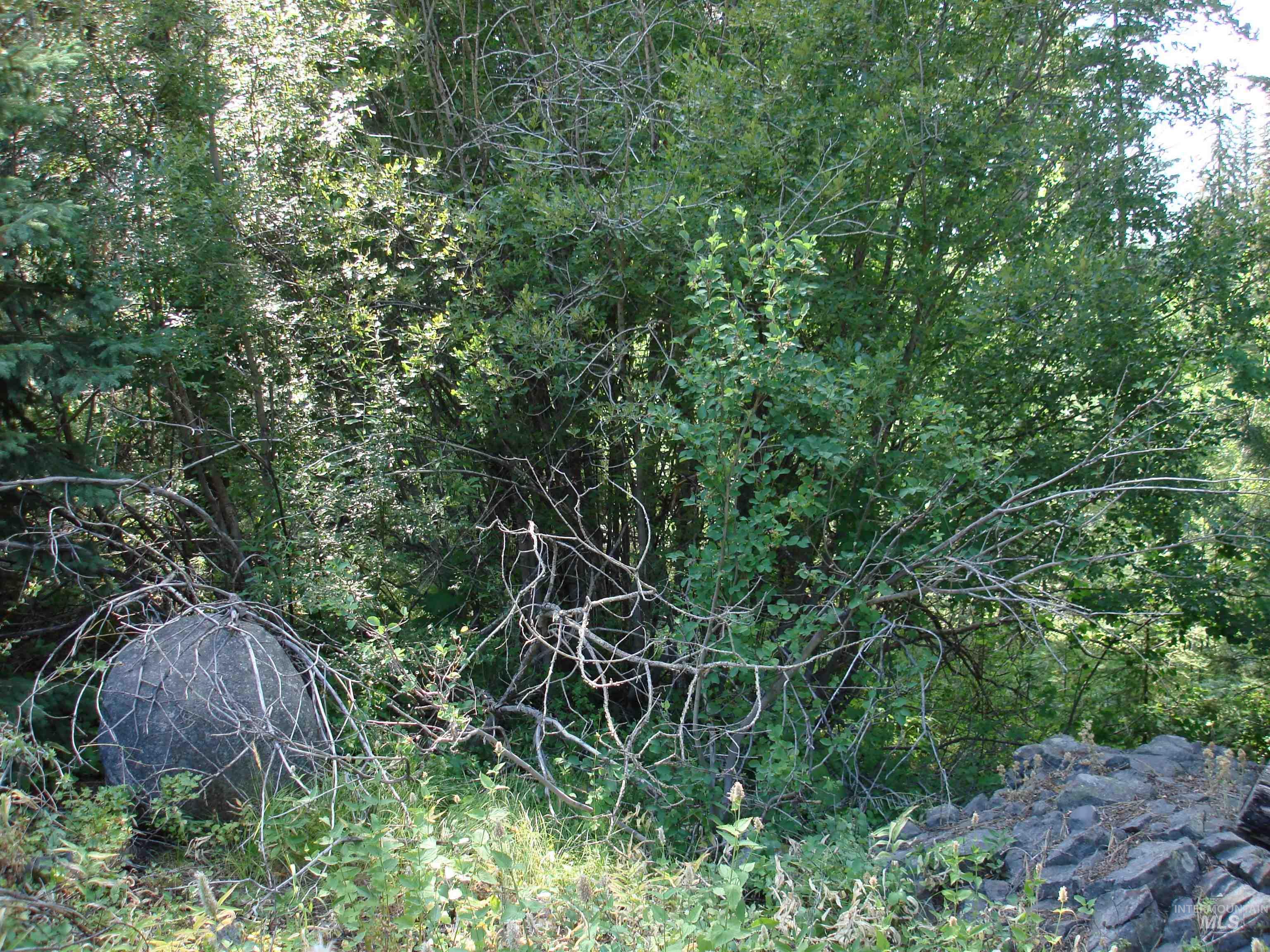 Lot 2 Majestic View Drive Property Photo 2