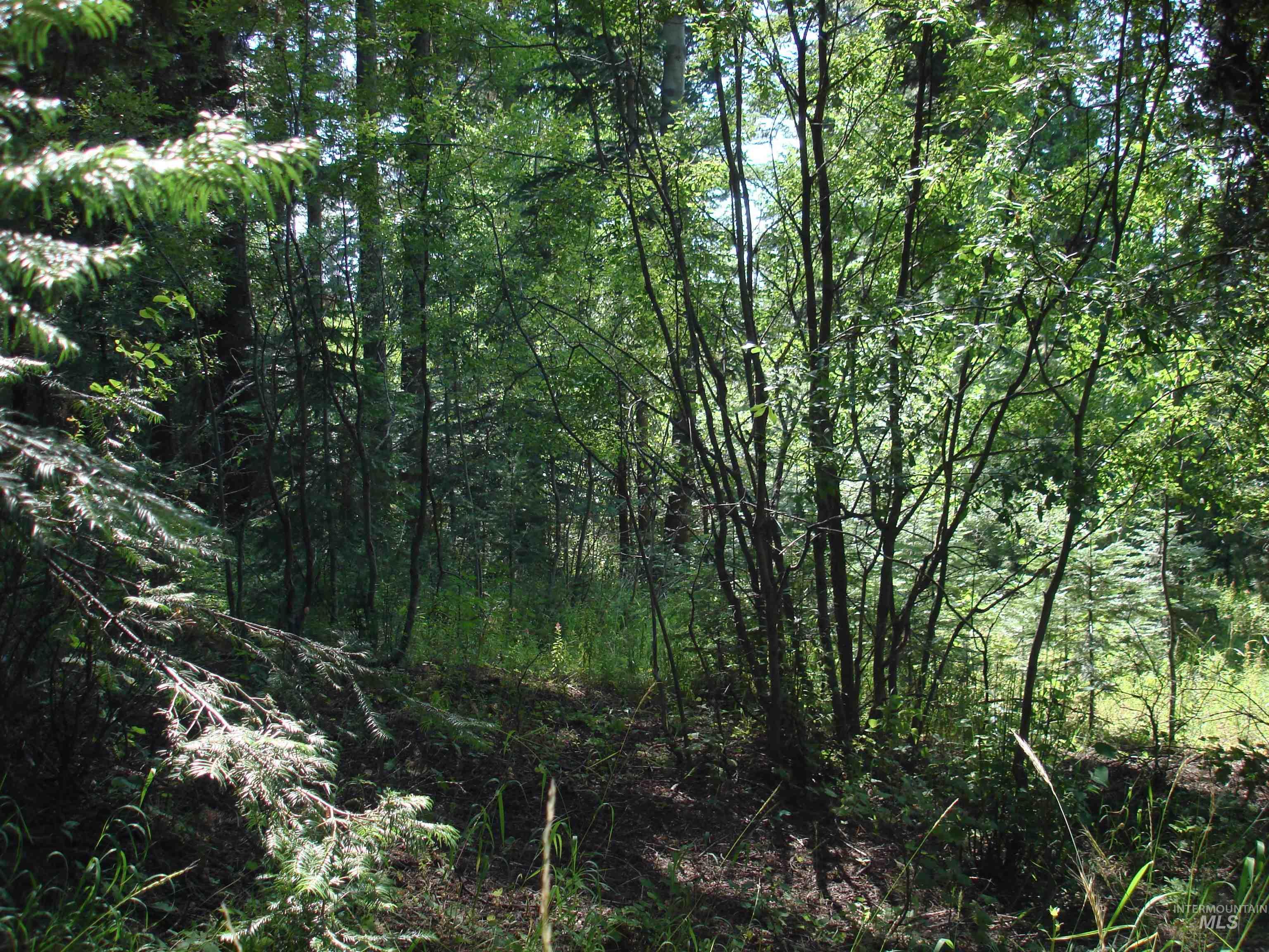 Lot 2 Majestic View Drive Property Photo 3