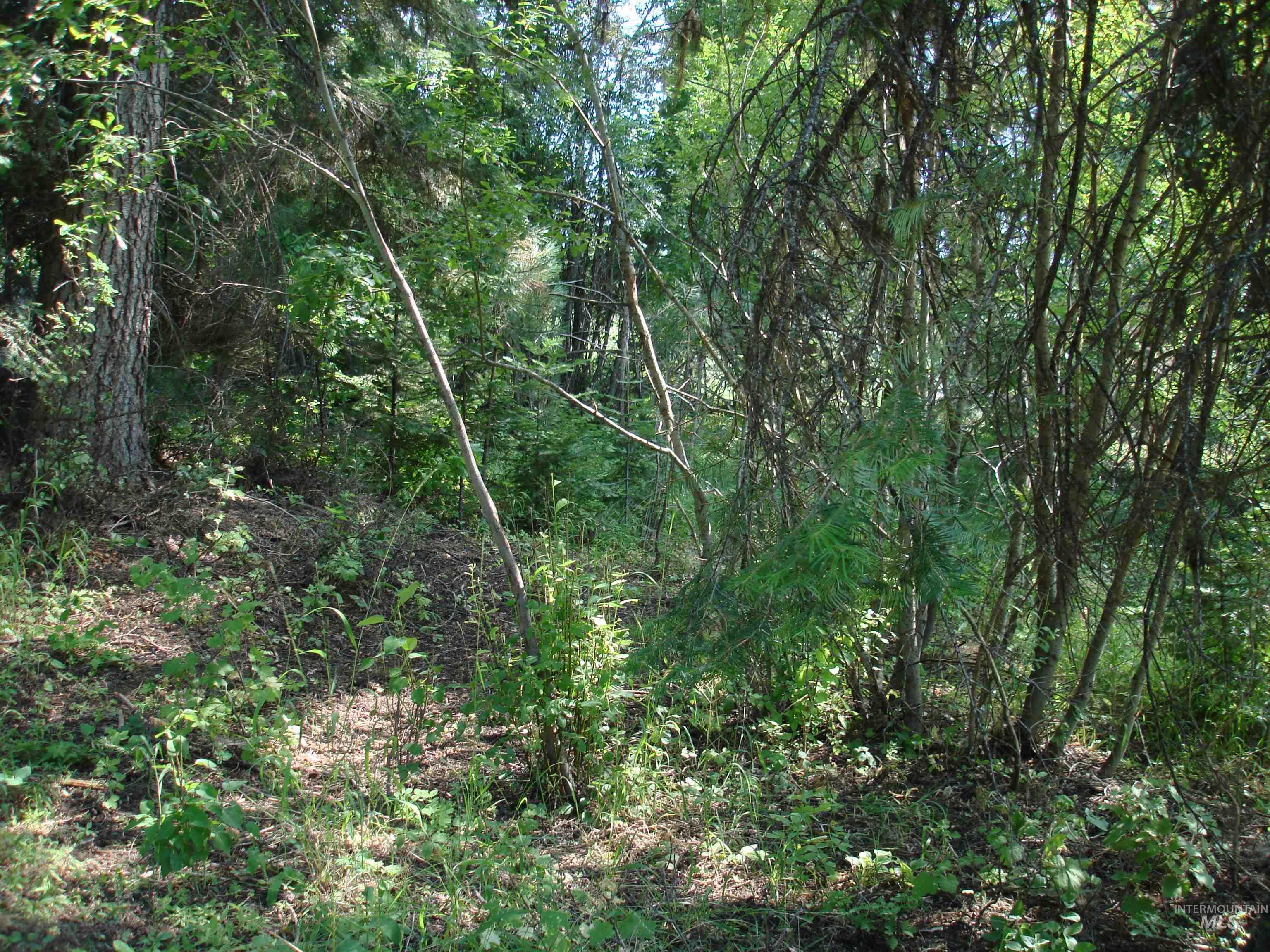 Lot 2 Majestic View Drive Property Photo 5