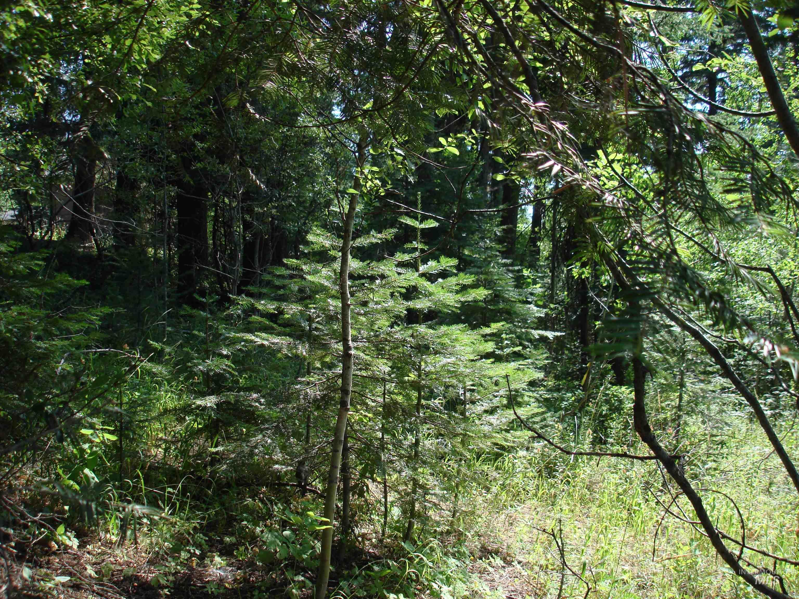 Lot 2 Majestic View Drive Property Photo 6