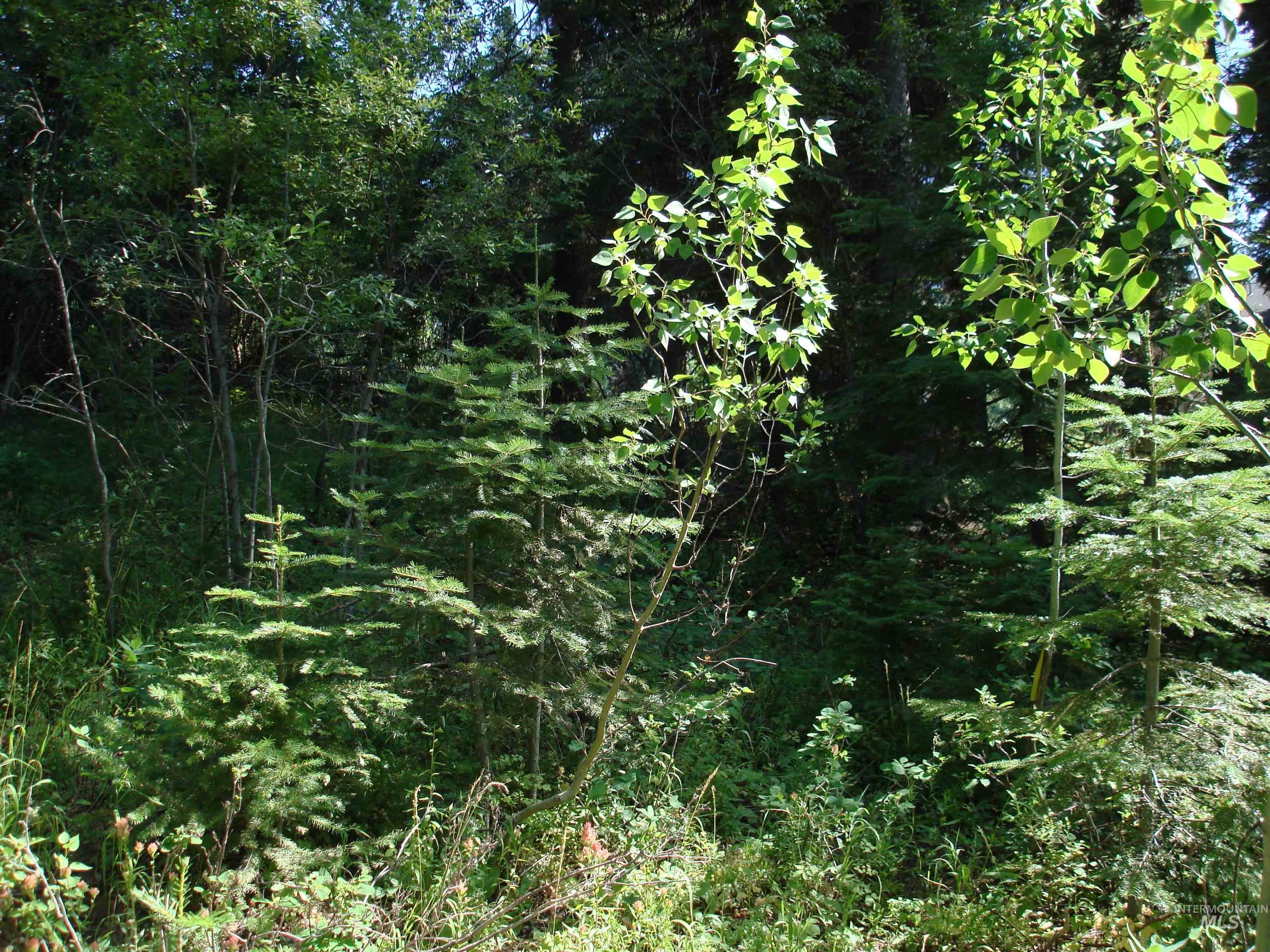 Lot 2 Majestic View Drive Property Photo 8